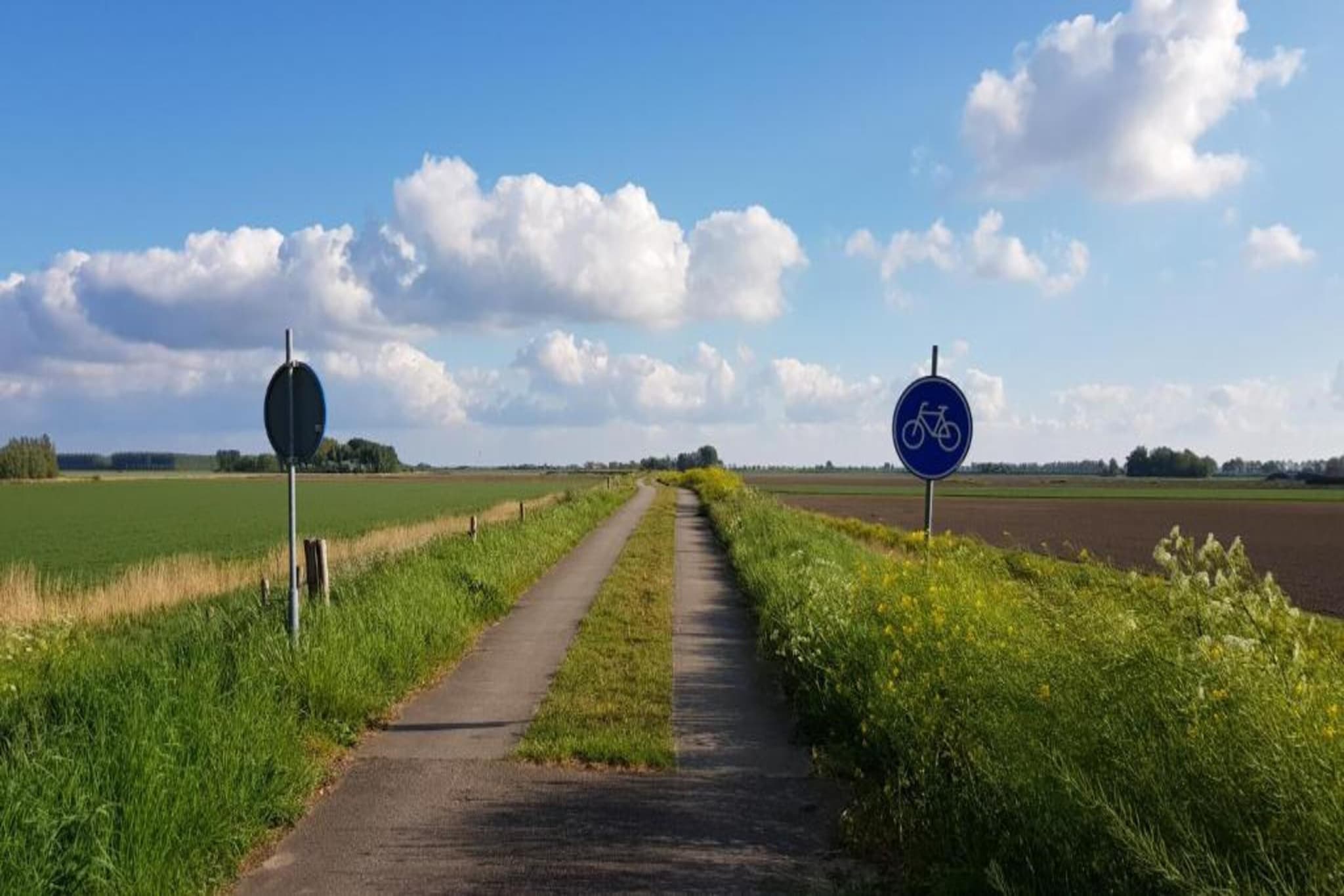 Strandloper 129-Gebieden zomer 20km