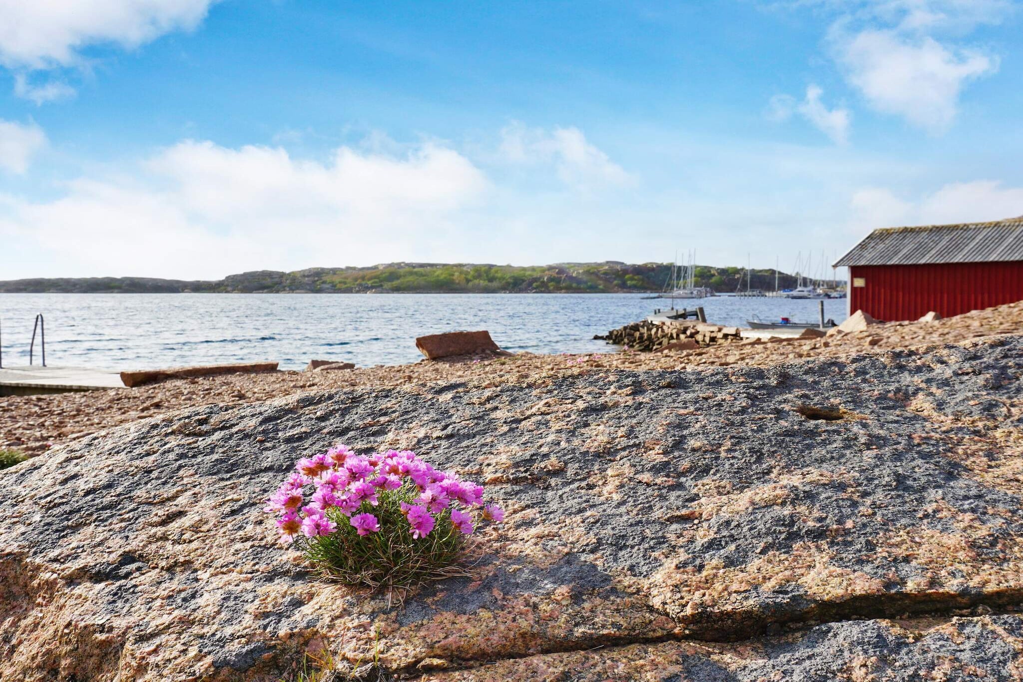 4 sterren vakantie huis in Bovallstrand-By Traum - Niet-getagd