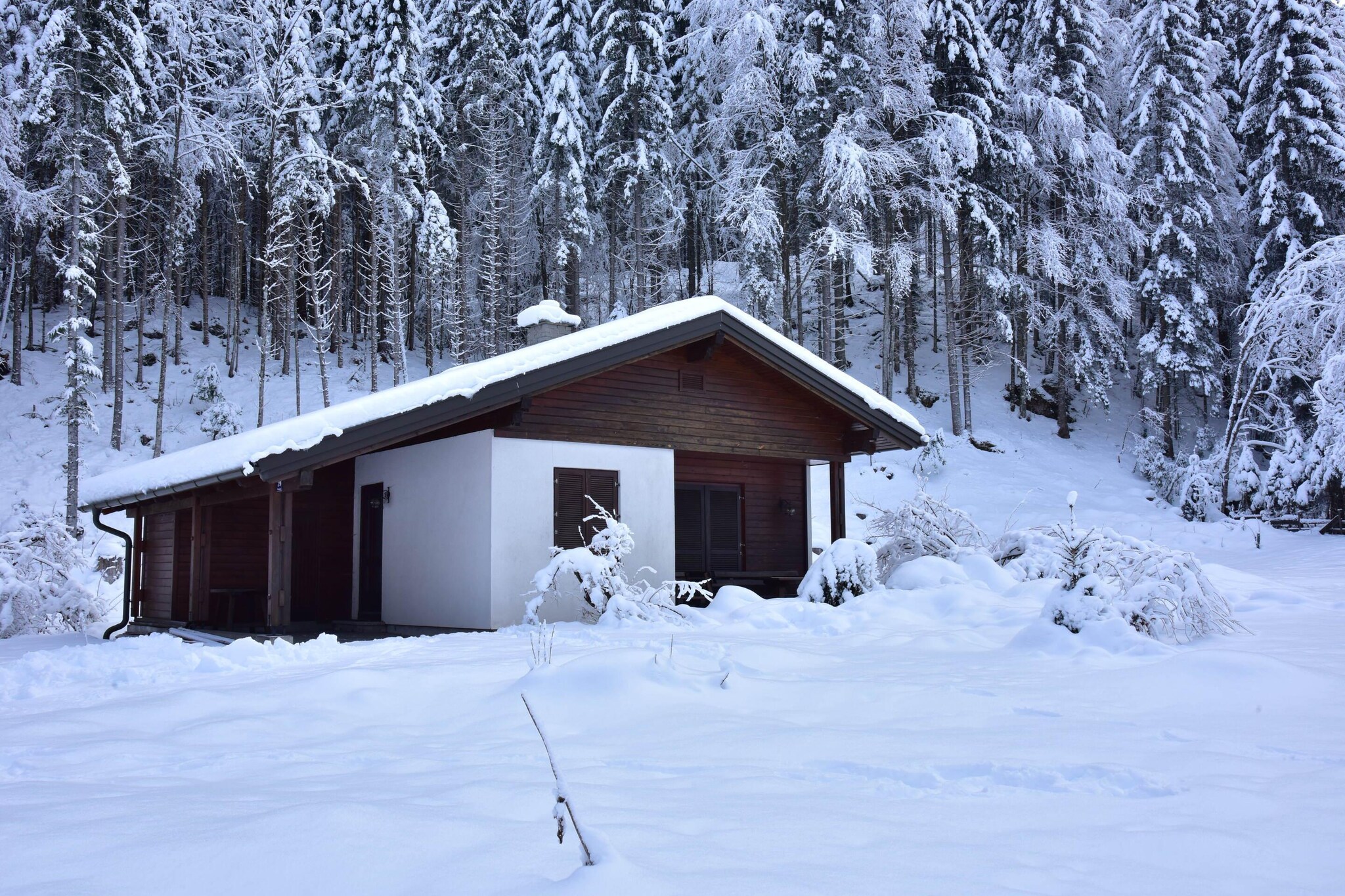 Chalet in Bodental near Ski Slopes