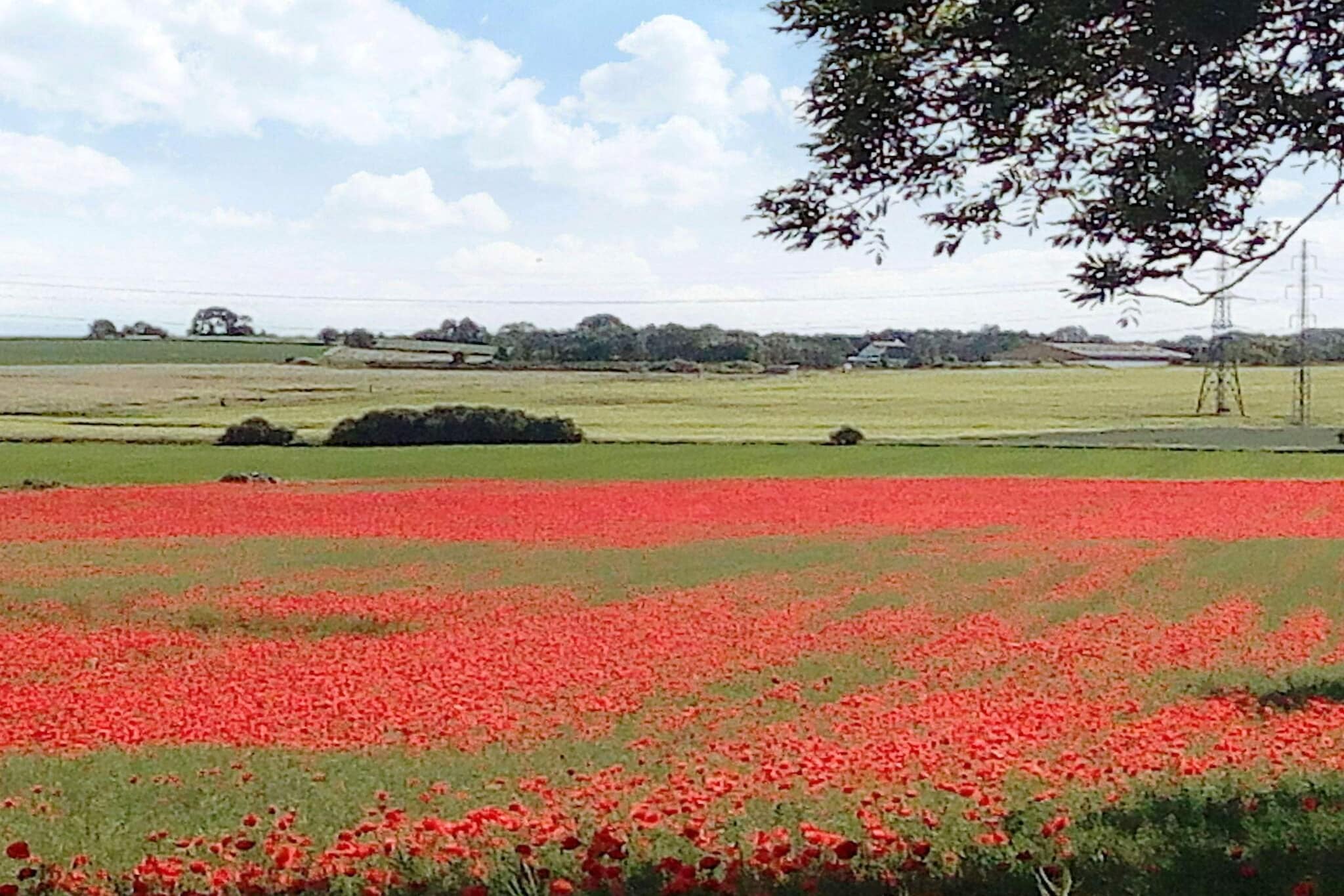 6 person holiday home in Ã˜lsted-By Traum