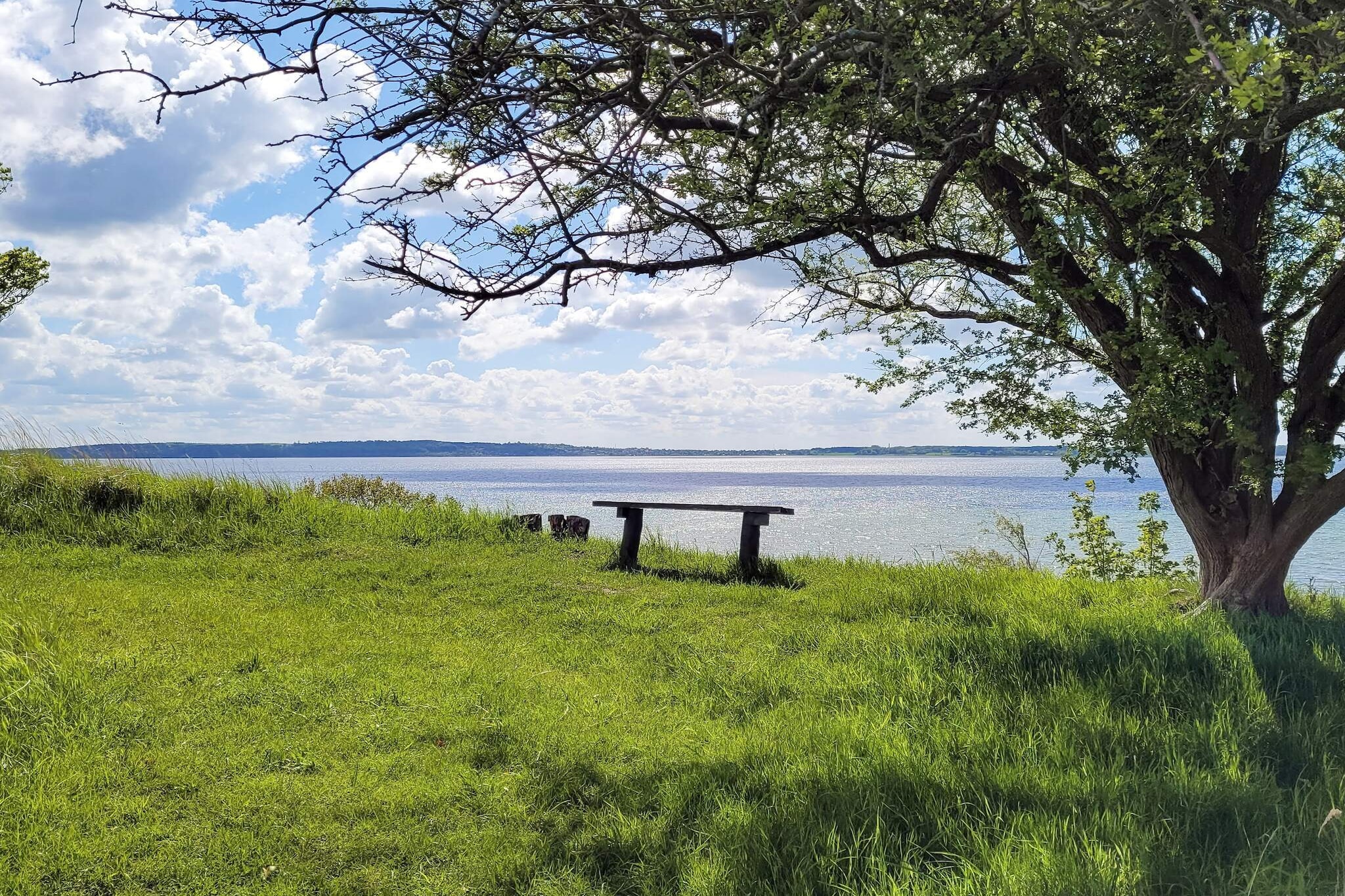 Internet Access DSL, Kitchen(cooker(electric), coffee machine, microwave, dishwasher, fridge-freezer), Living/bed room(double folding bed, TV, radio, chromecast), bedroom(2x single bed), bedroom(3x single bed), bathroom(washbasin, shower, toilet, washing machine), carport, balcony or terrace, heating(electric), garden, garden furniture, air to air heatpump