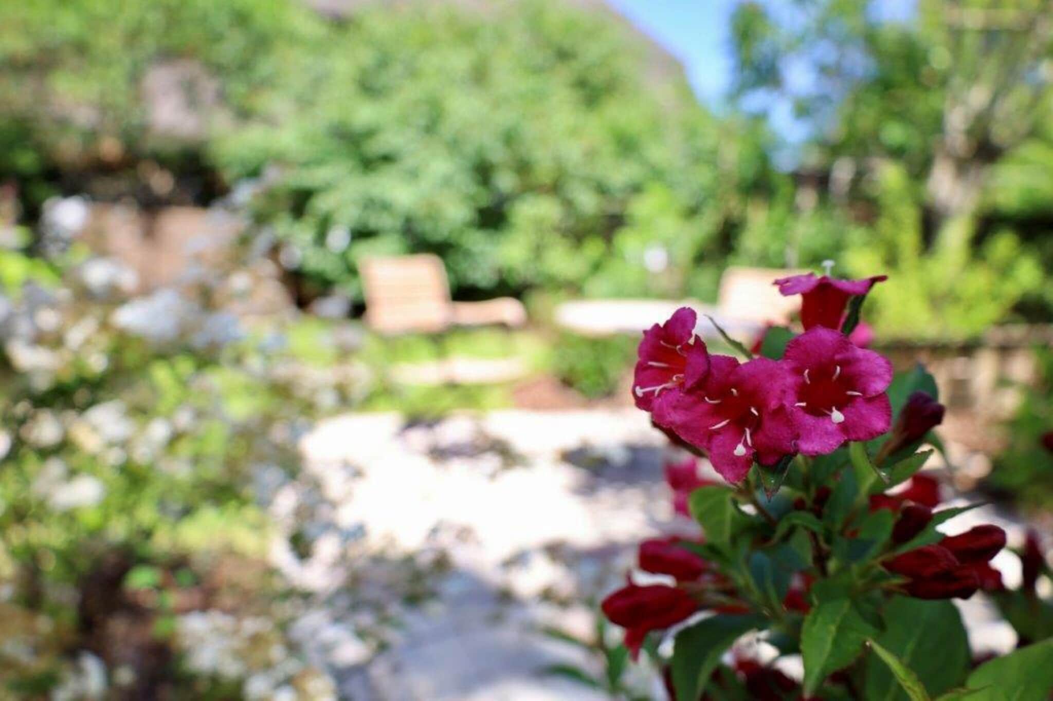 Kapteins Hüüs - ganzes Haus-Woonkamer