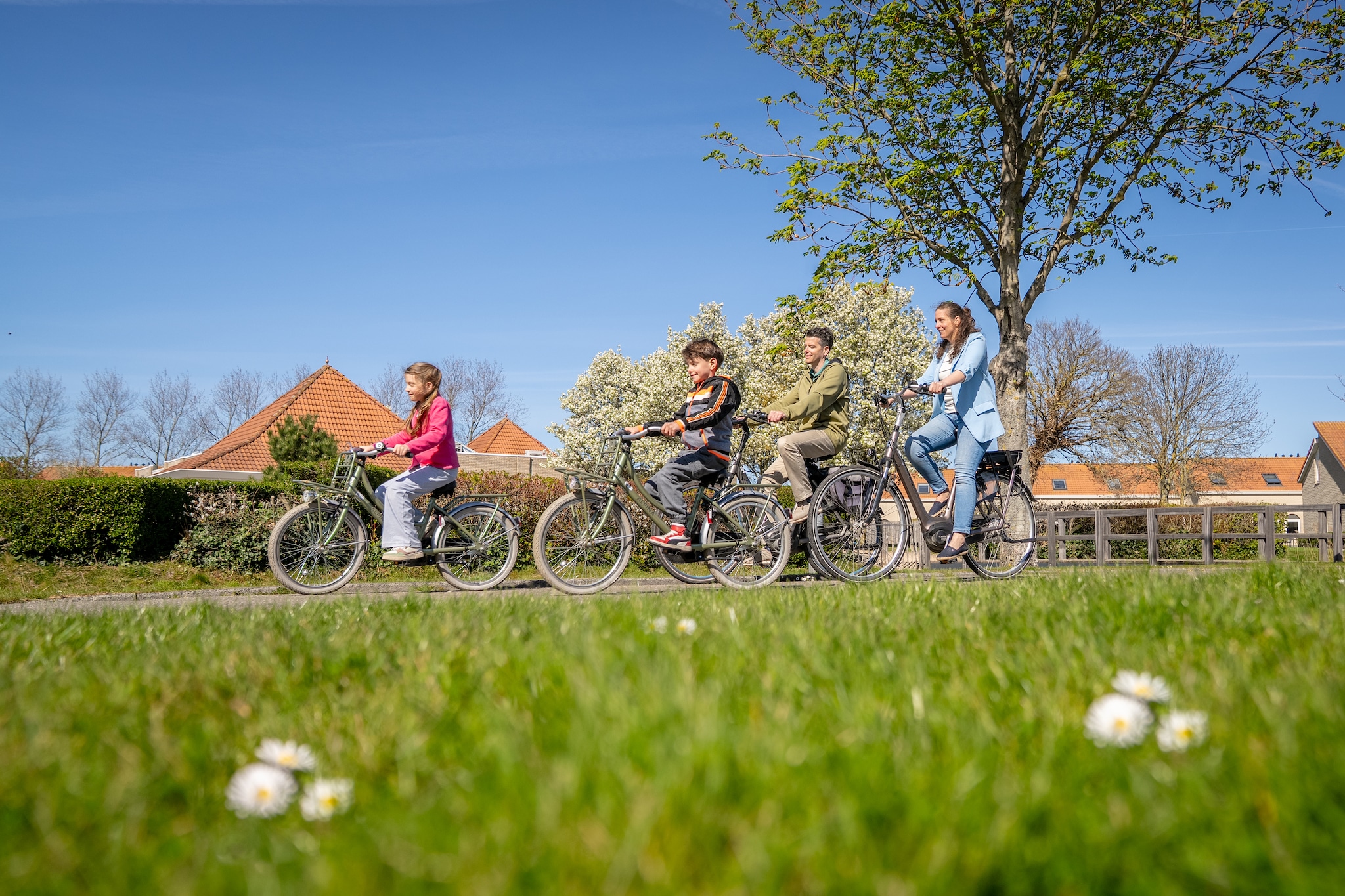 Vakantiepark de Soeten Haert 20-Parkfaciliteiten