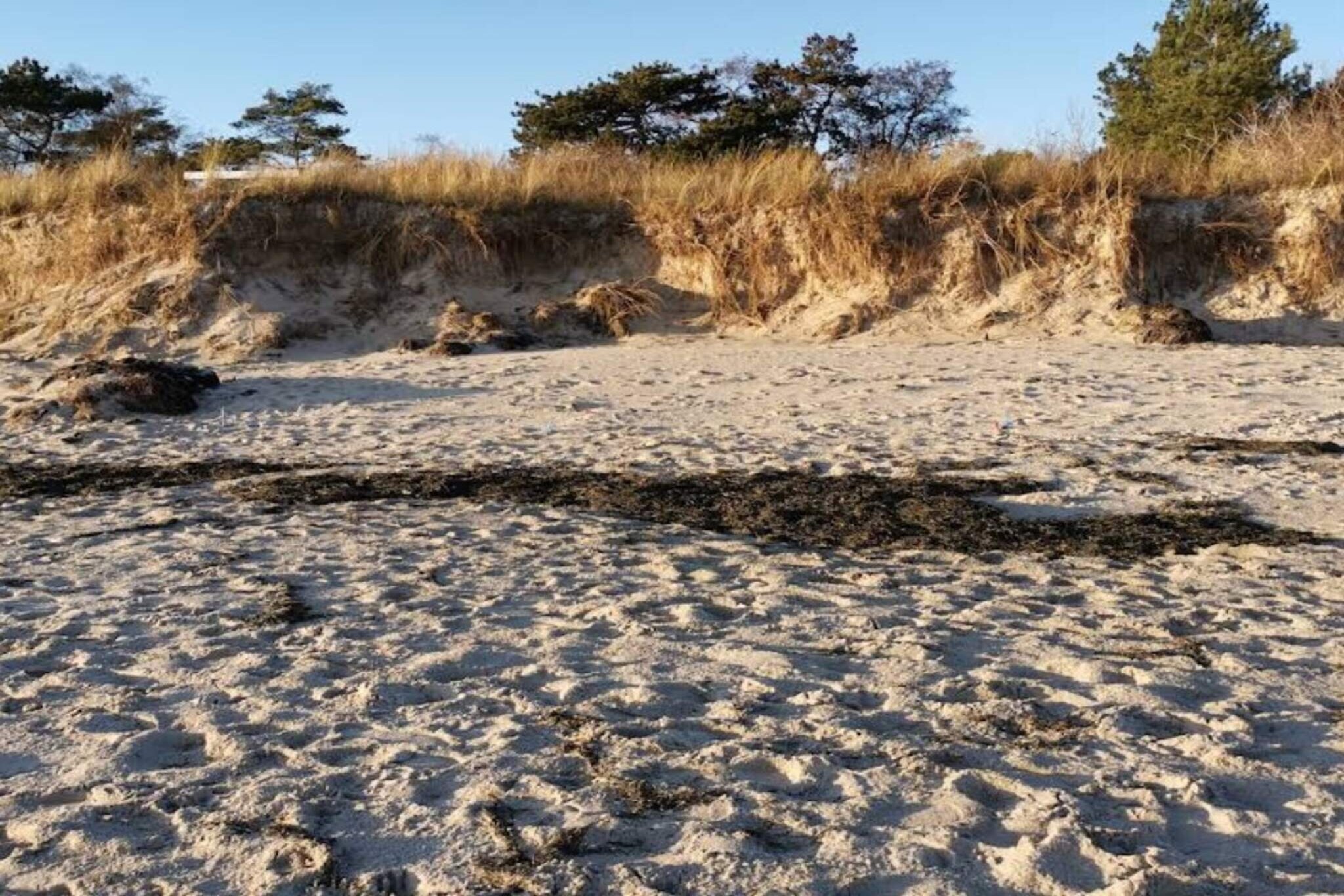 6 persoons vakantie huis in Idestrup-By Traum-Niet-getagd