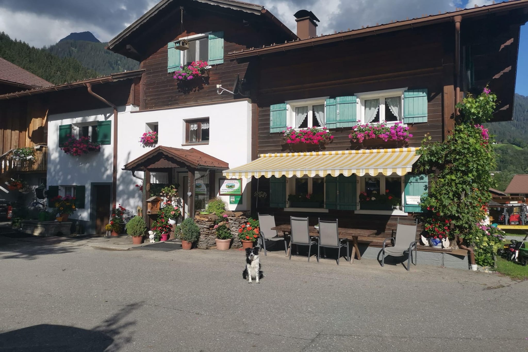 Exterior Summer