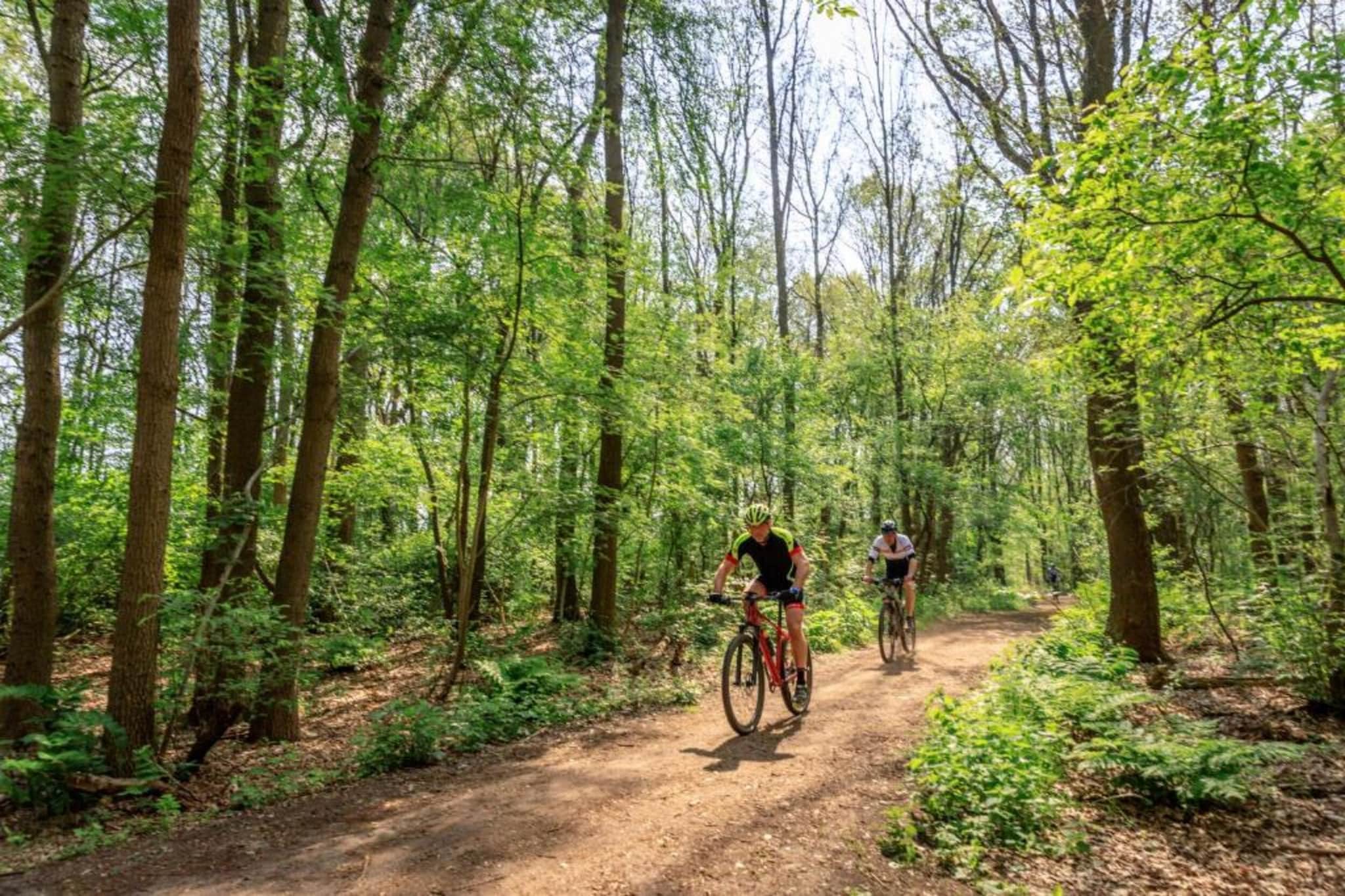 Resort Drentse Weelde 1-Gebieden zomer 5km