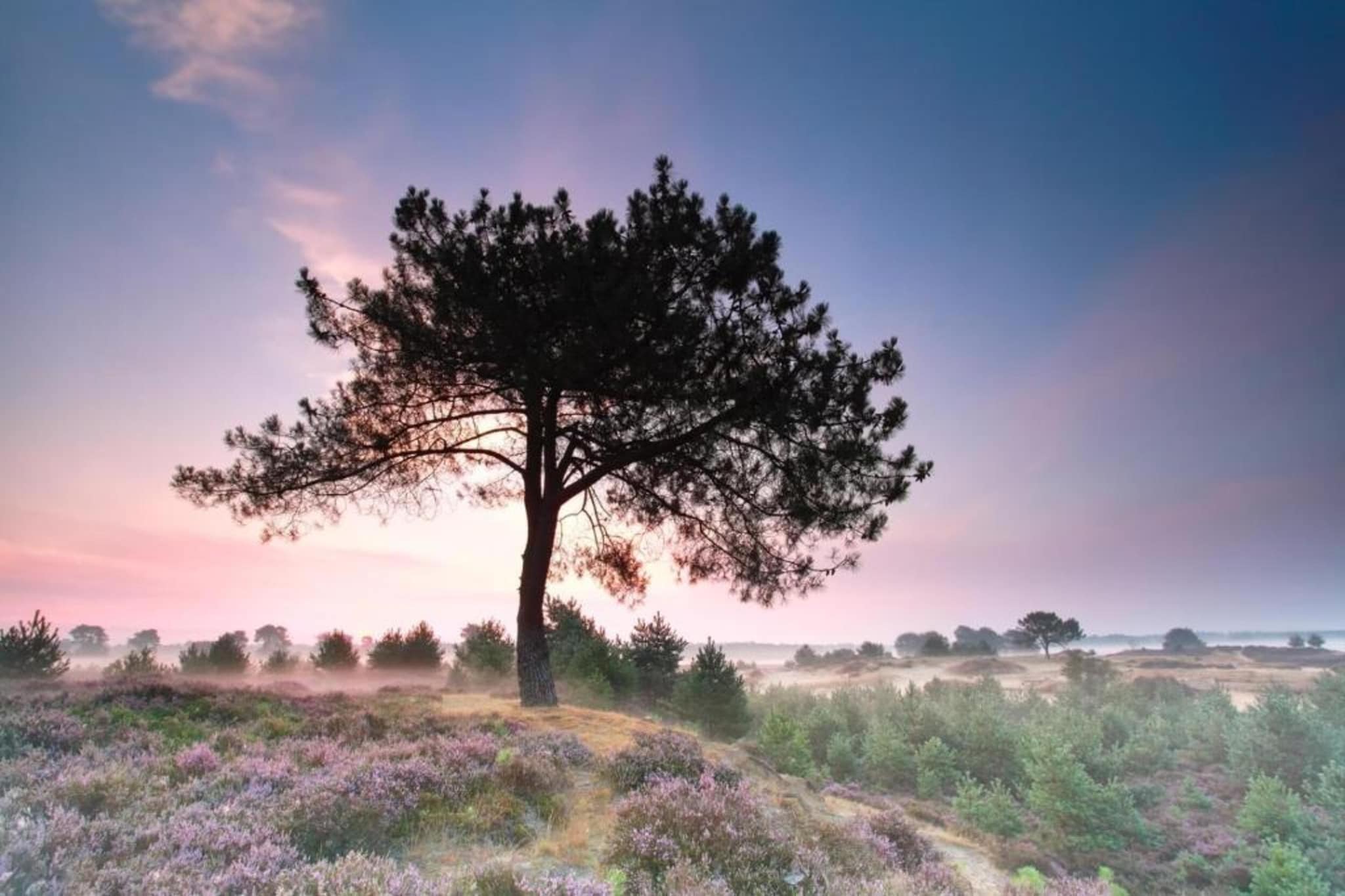 Resort Drentse Weelde 1-Gebieden zomer 5km