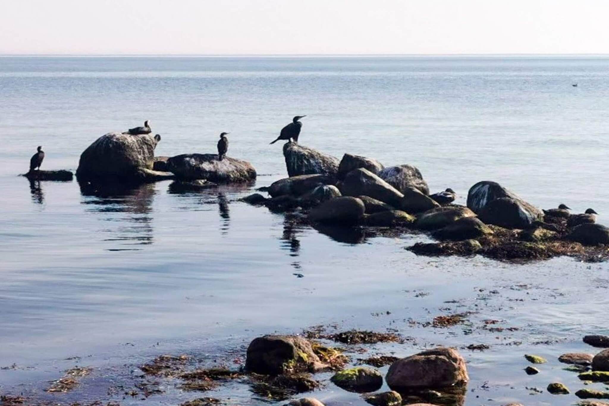 4 sterren vakantie huis in Gørlev-By Traum-Waterzicht