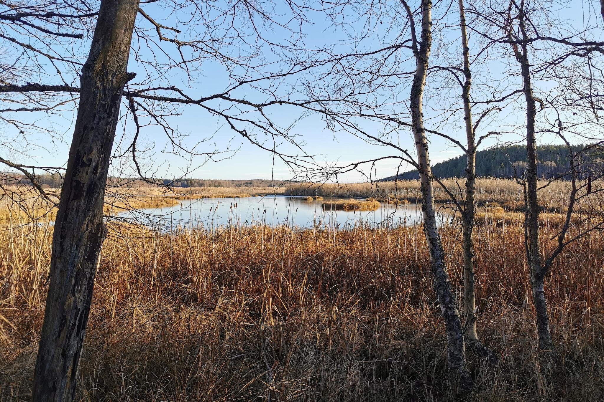 4 star holiday home in SÖDERALA-By Traum-Water view