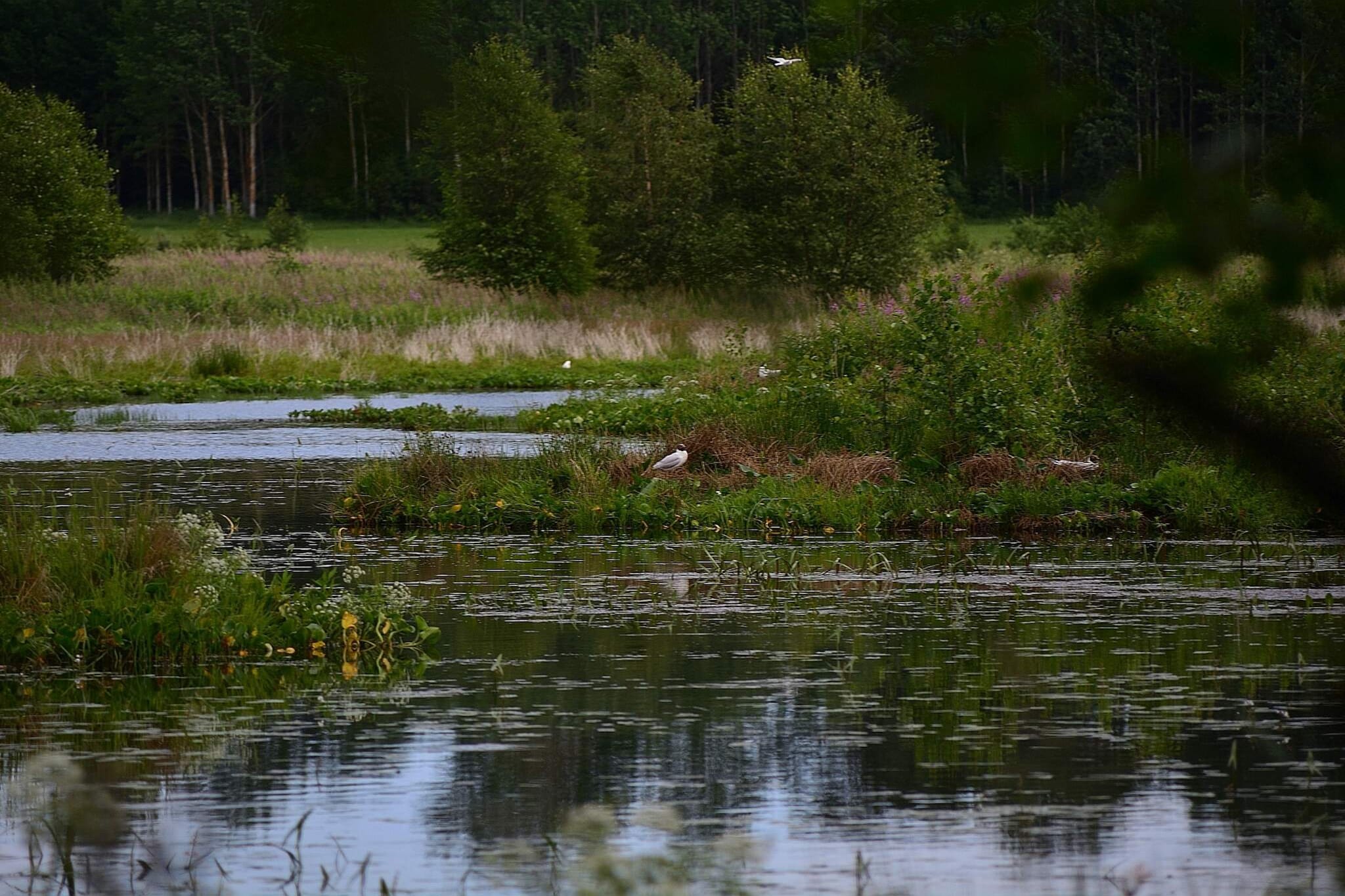 4 star holiday home in SÖDERALA-By Traum-Water view