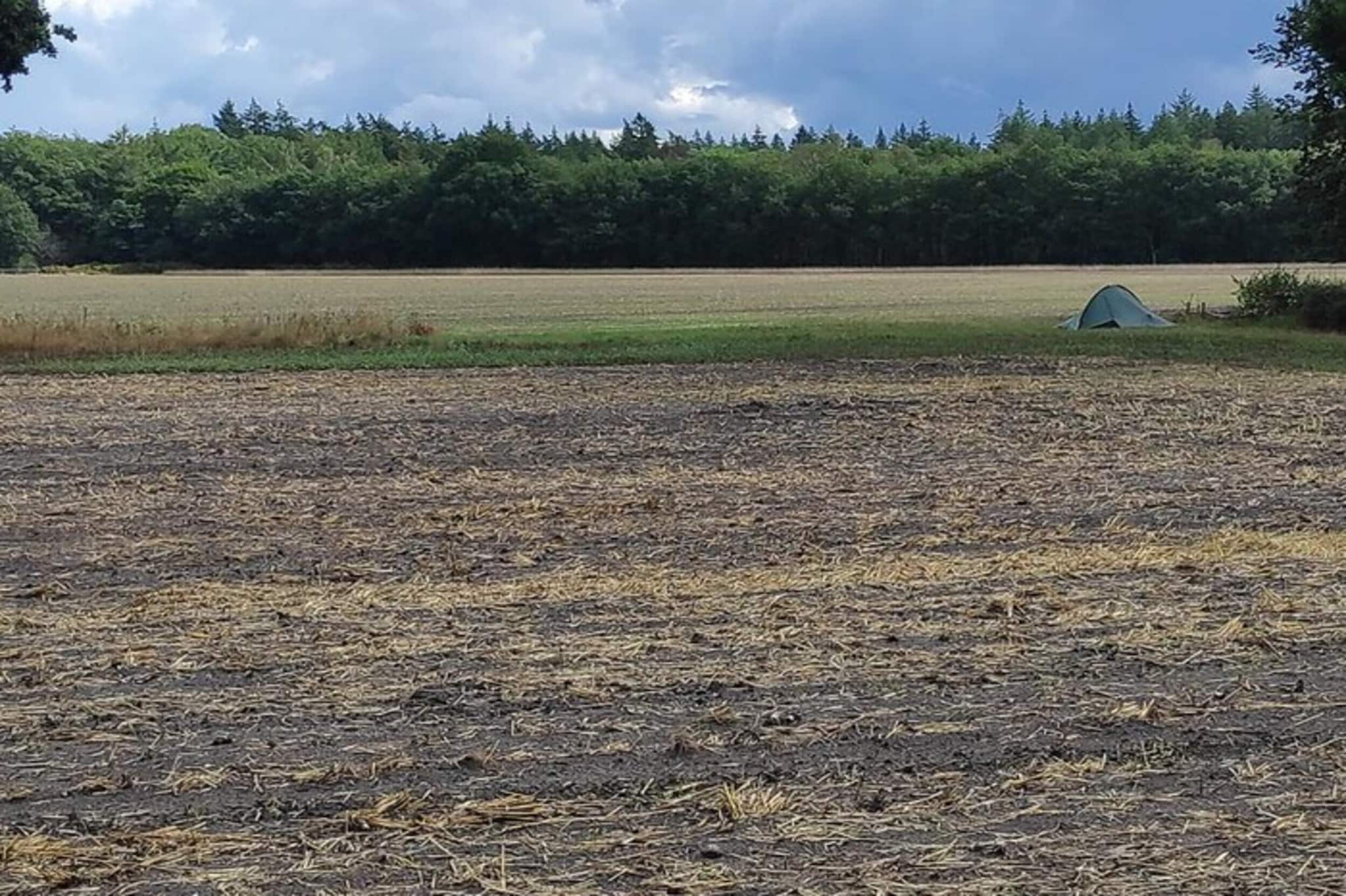 Dwergarend 17-20-Gebieden zomer 20km