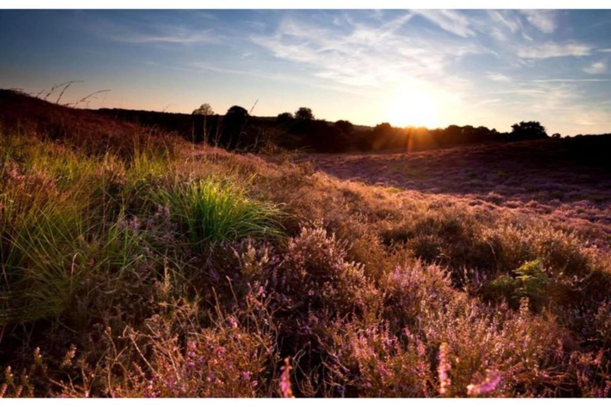 Dwergarend 17-35-Areas summer 20km
