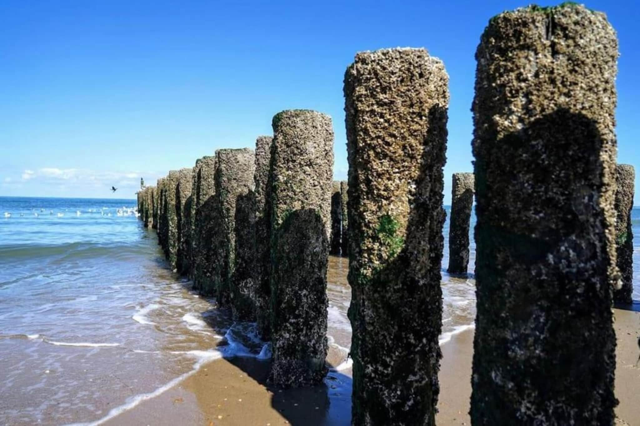 Achterweg 10 l Zonnemaire 'Sol e Mar'-Gebieden zomer 20km