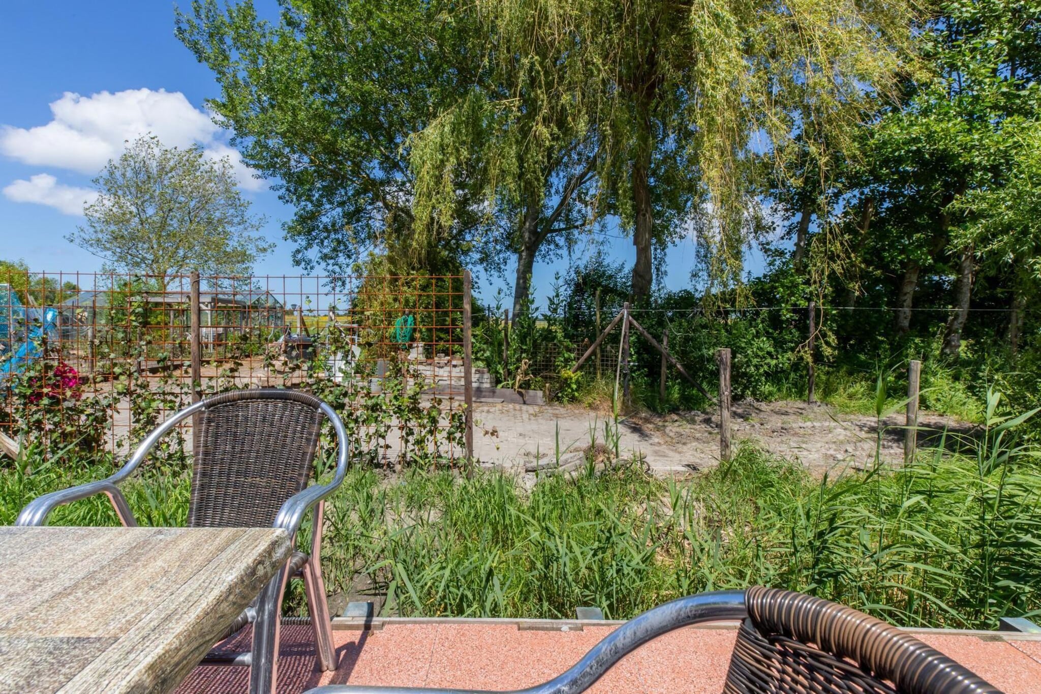 Achterweg 10 l Zonnemaire 'Sol e Mar' - Tuinen zomer