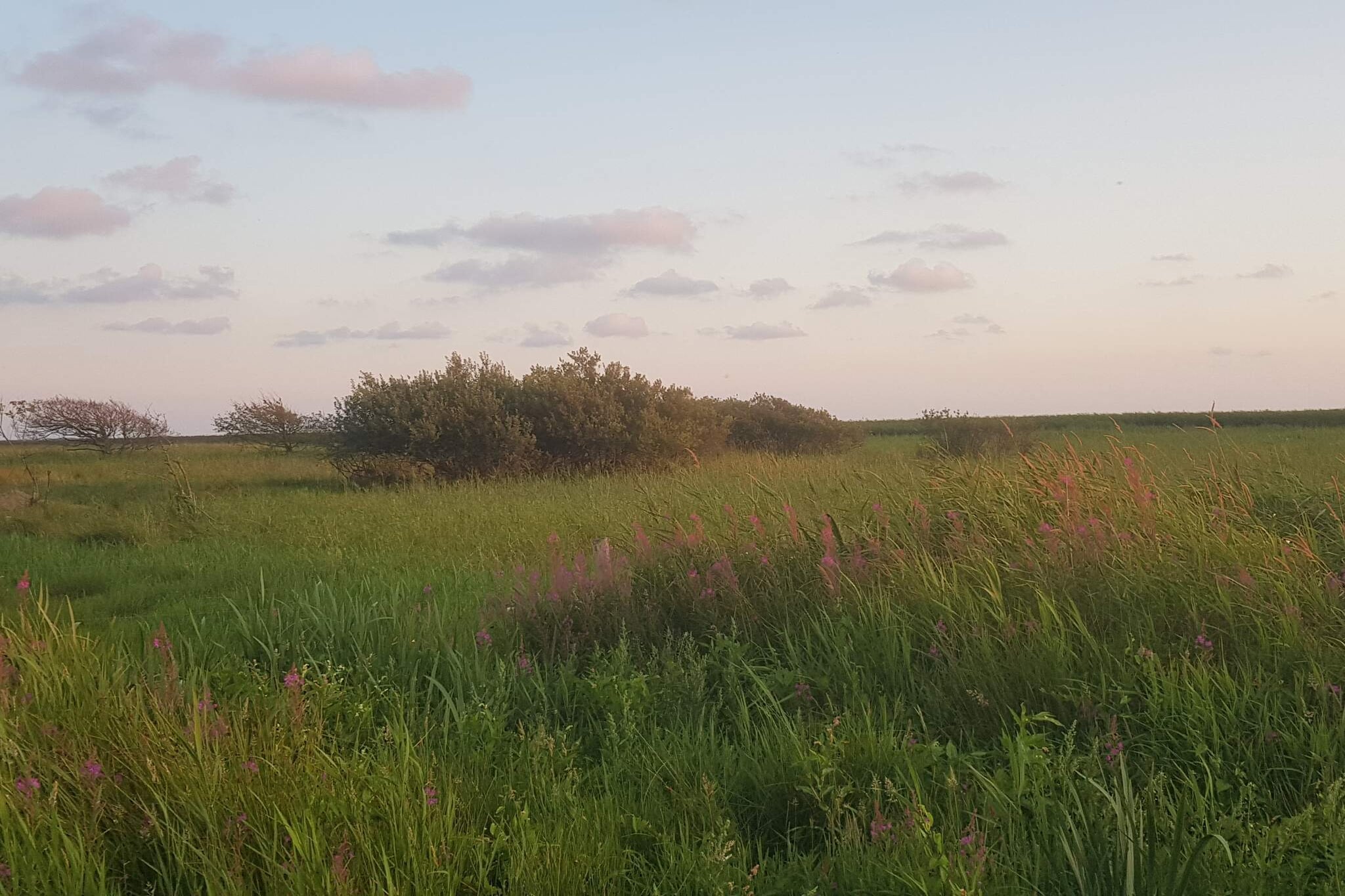 8 persoons vakantie huis in Skjern-By Traum