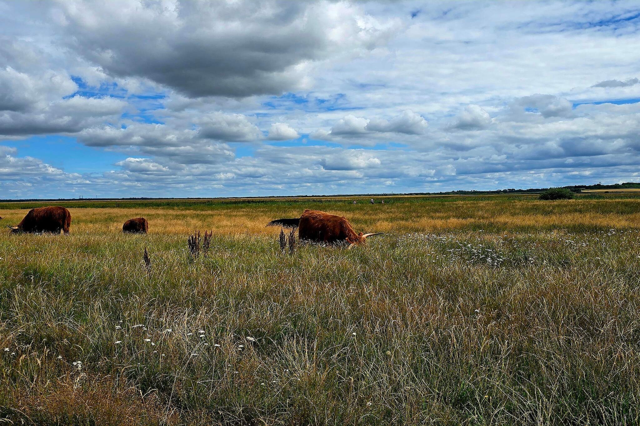 8 persoons vakantie huis in Skjern-By Traum-Niet-getagd