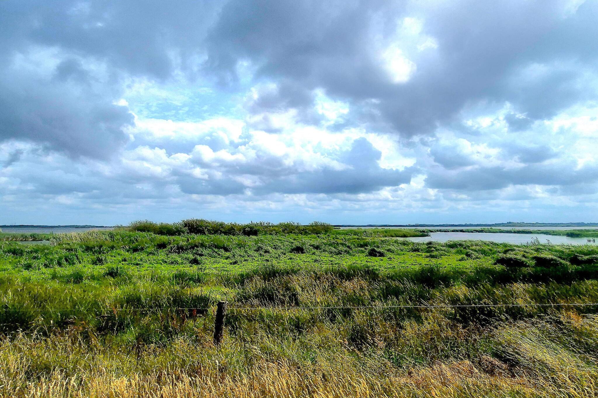 8 persoons vakantie huis in Skjern-By Traum-Niet-getagd