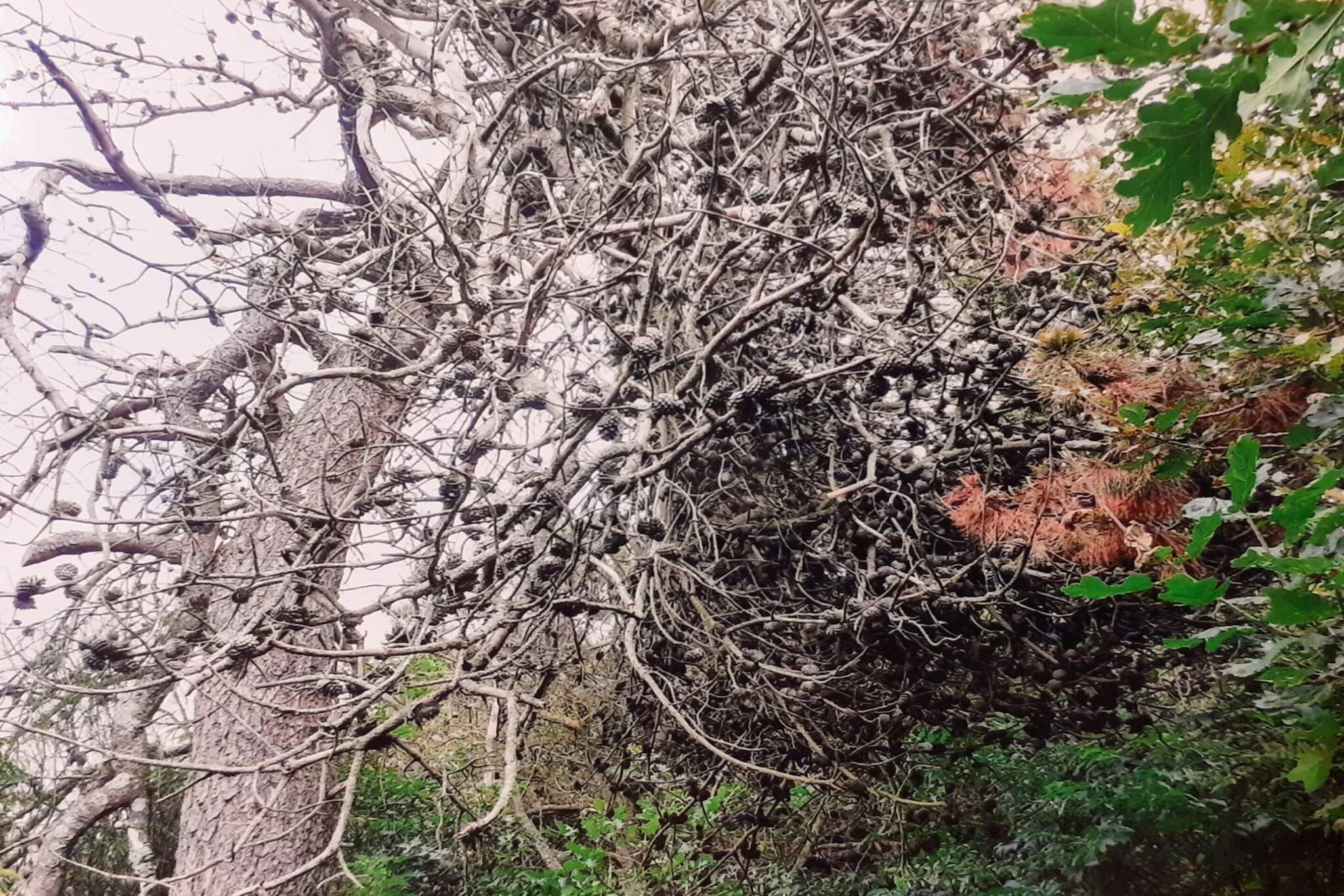 8 persoons vakantie huis in Skjern-By Traum-Niet-getagd