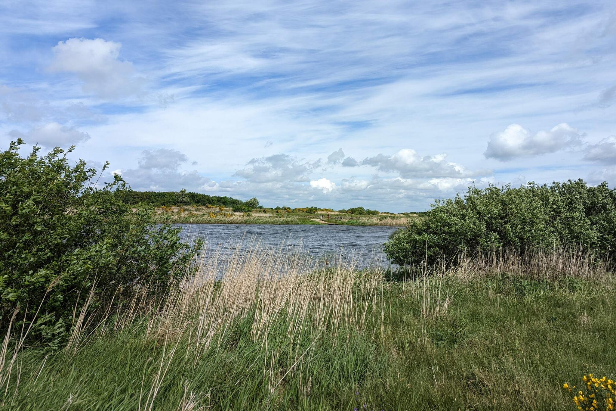 8 persoons vakantie huis in Skjern-By Traum - Waterzicht