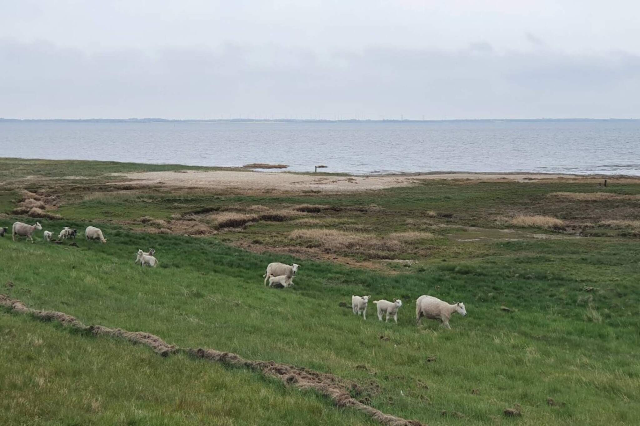Kustenzauber in Havneby -- By Traum Ferienwohnungen-Wasserblick