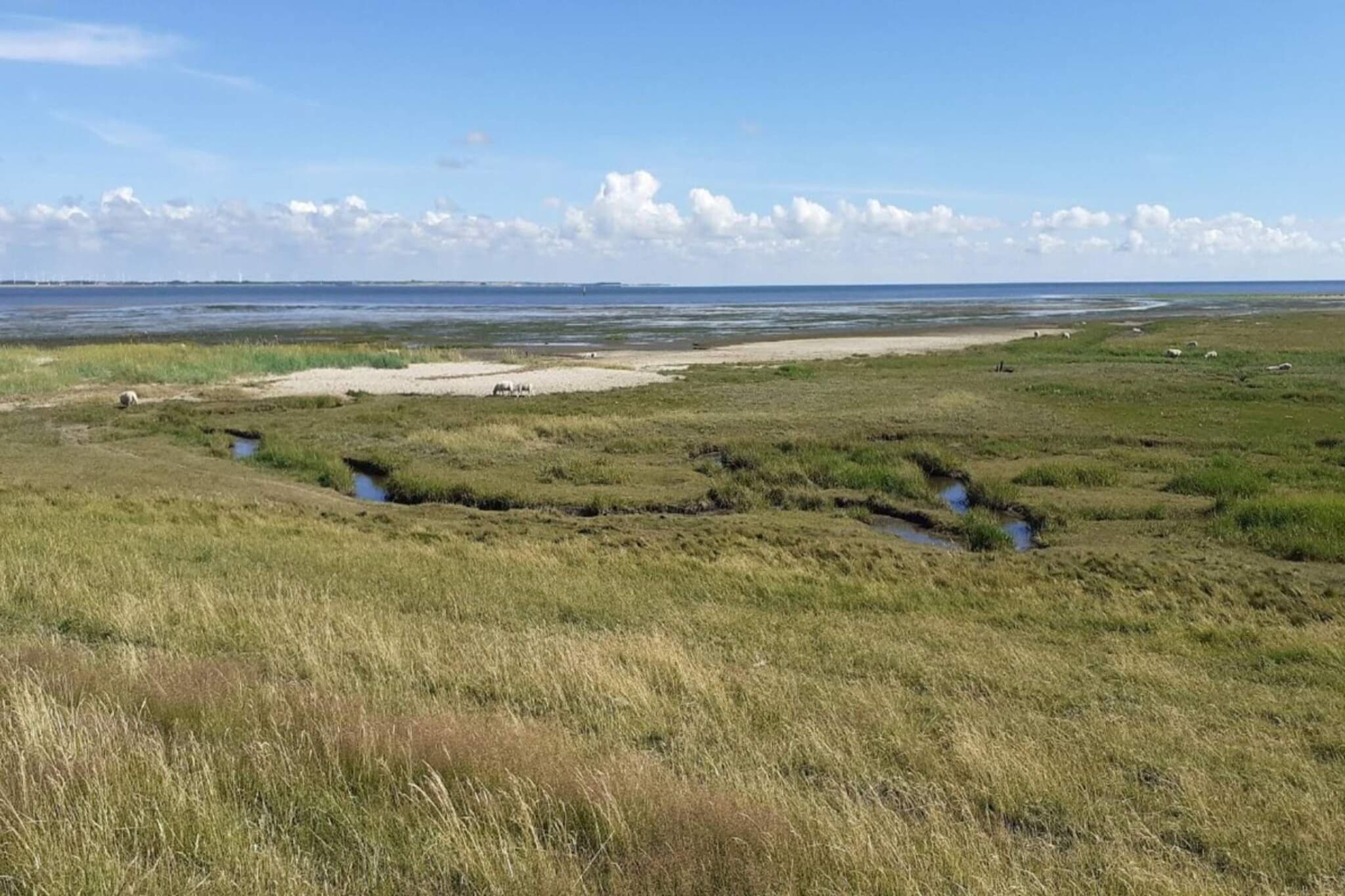 Kustenzauber in Havneby -- By Traum Ferienwohnungen-Wasserblick