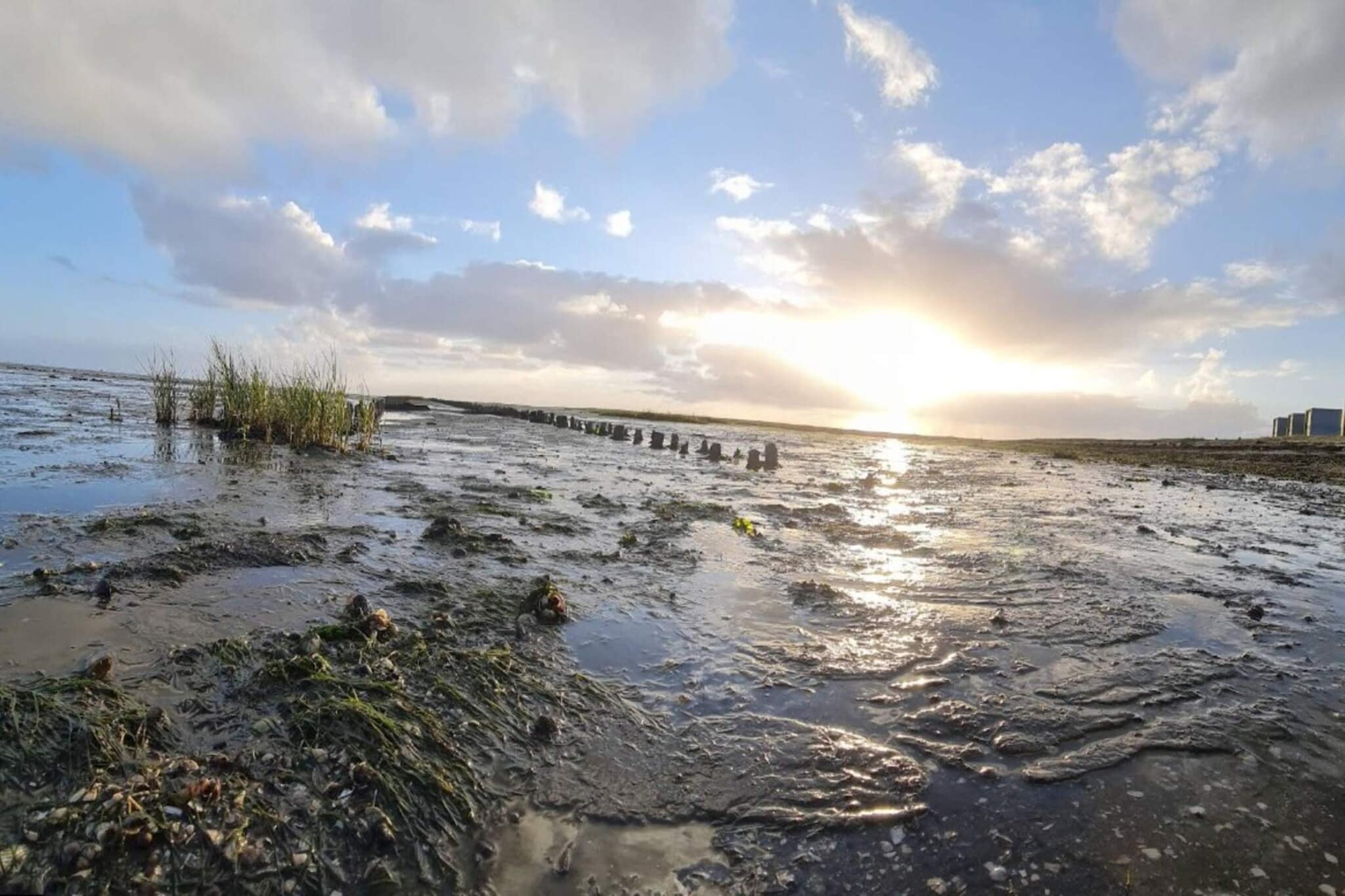 Kustenzauber in Havneby -- By Traum Ferienwohnungen-Wasserblick