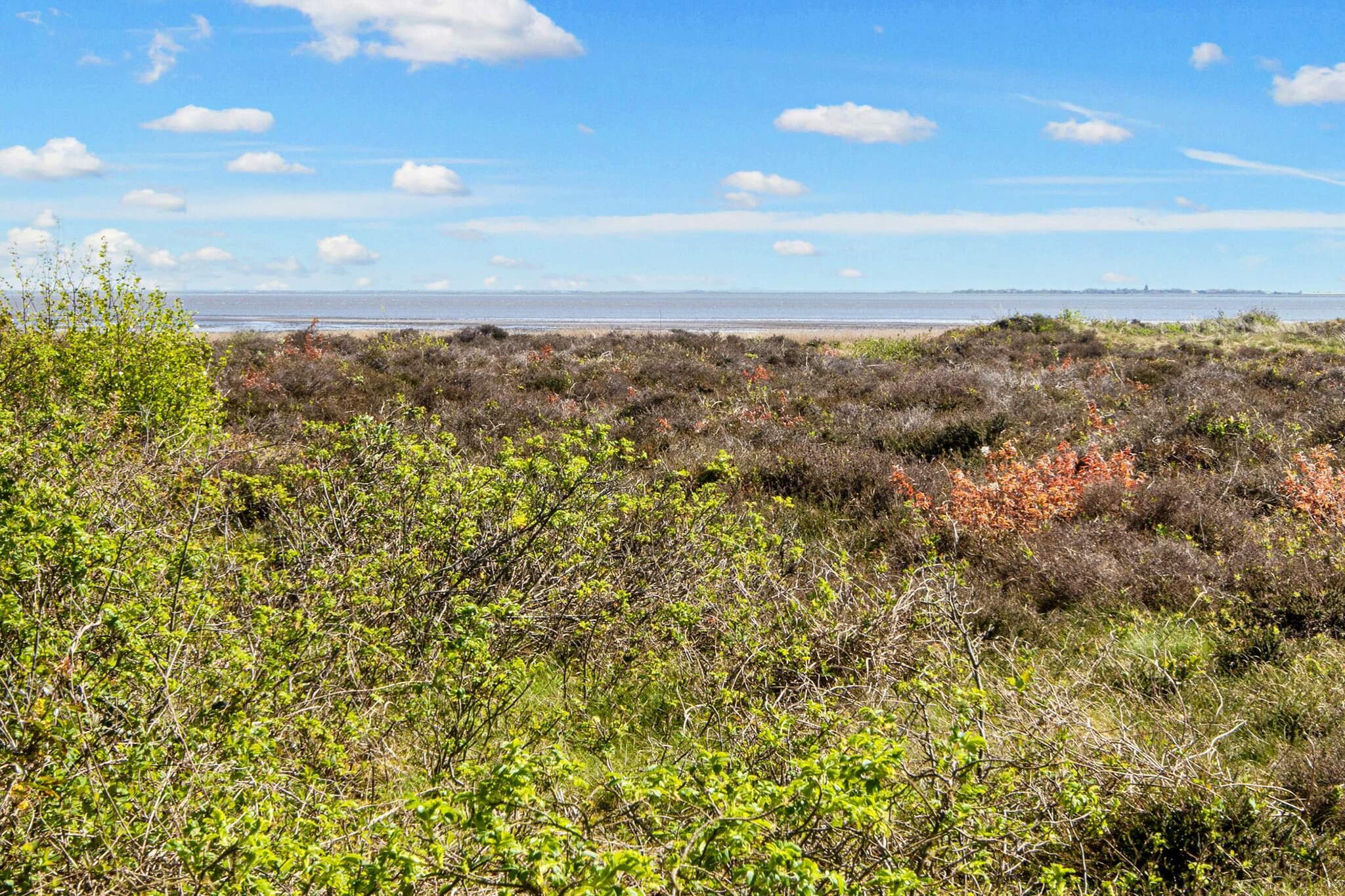 De charme van de kust in Havneby