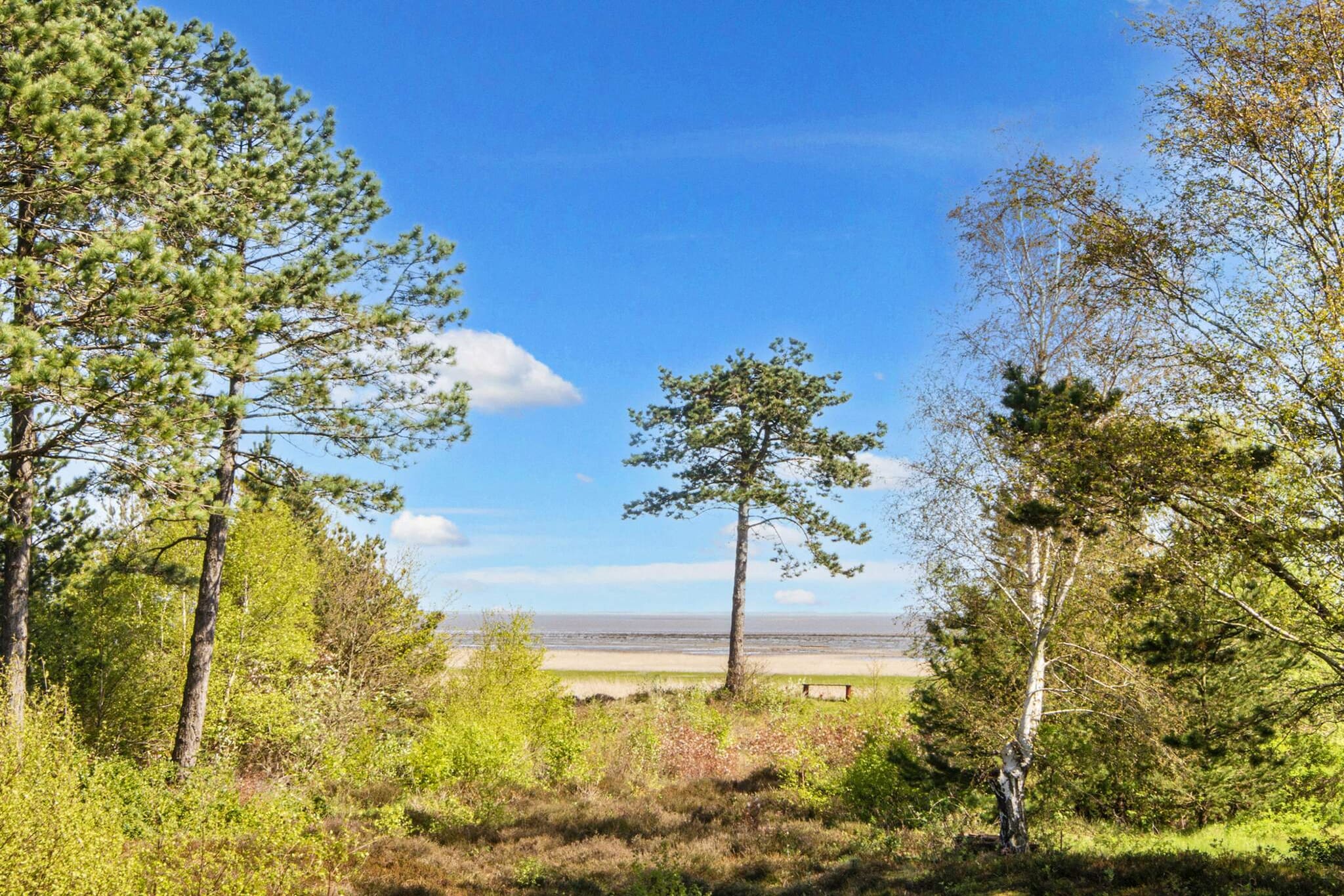 Le charme balnéaire d'Havneby