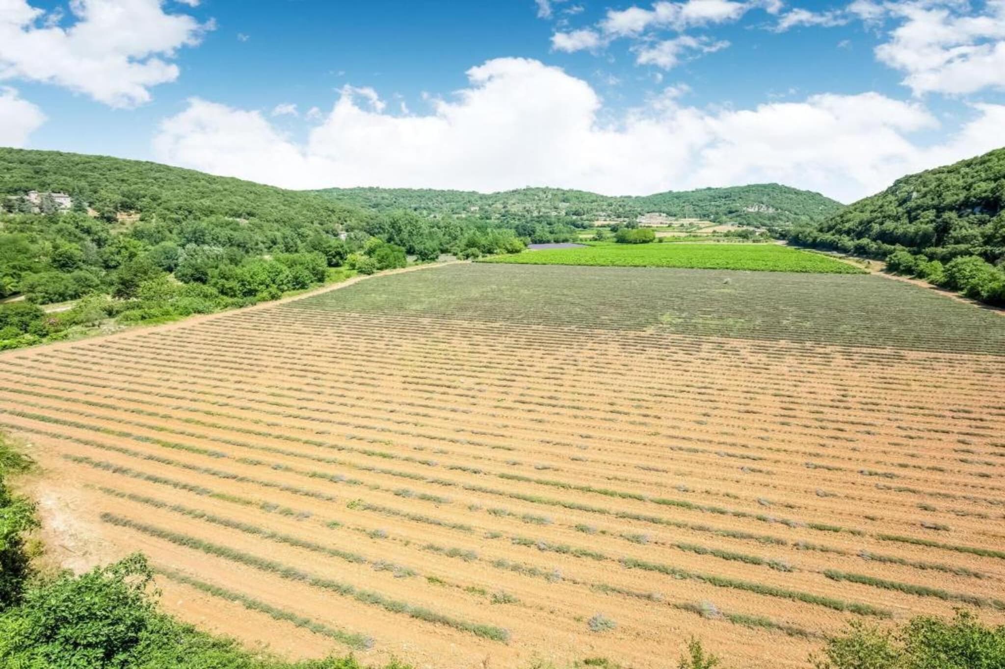Villa Berry-Areas summer 20km