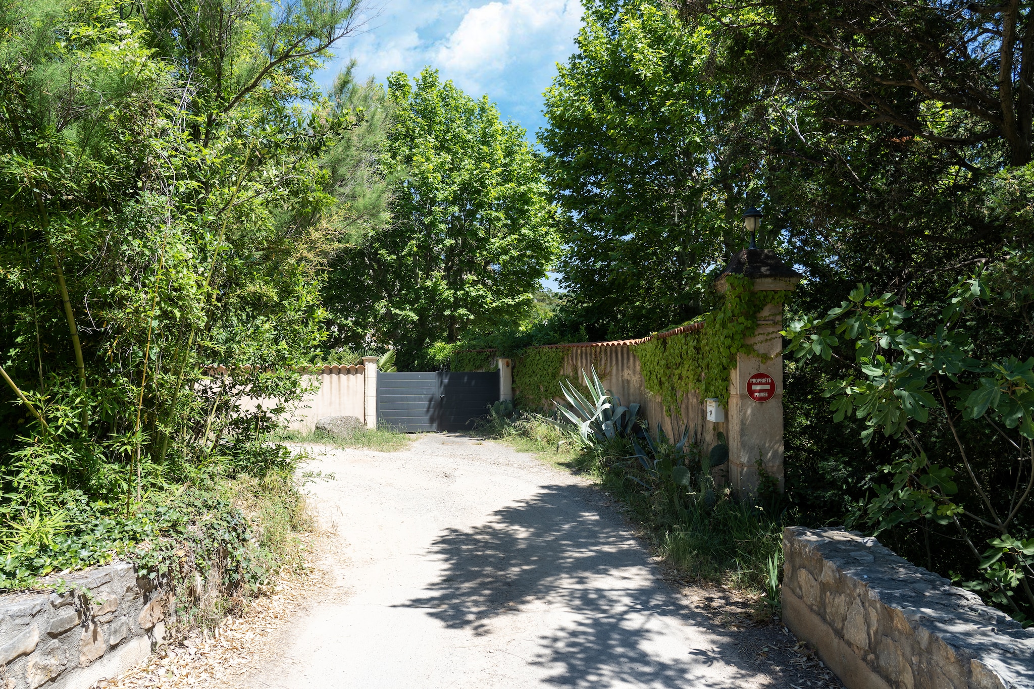Exterior Summer