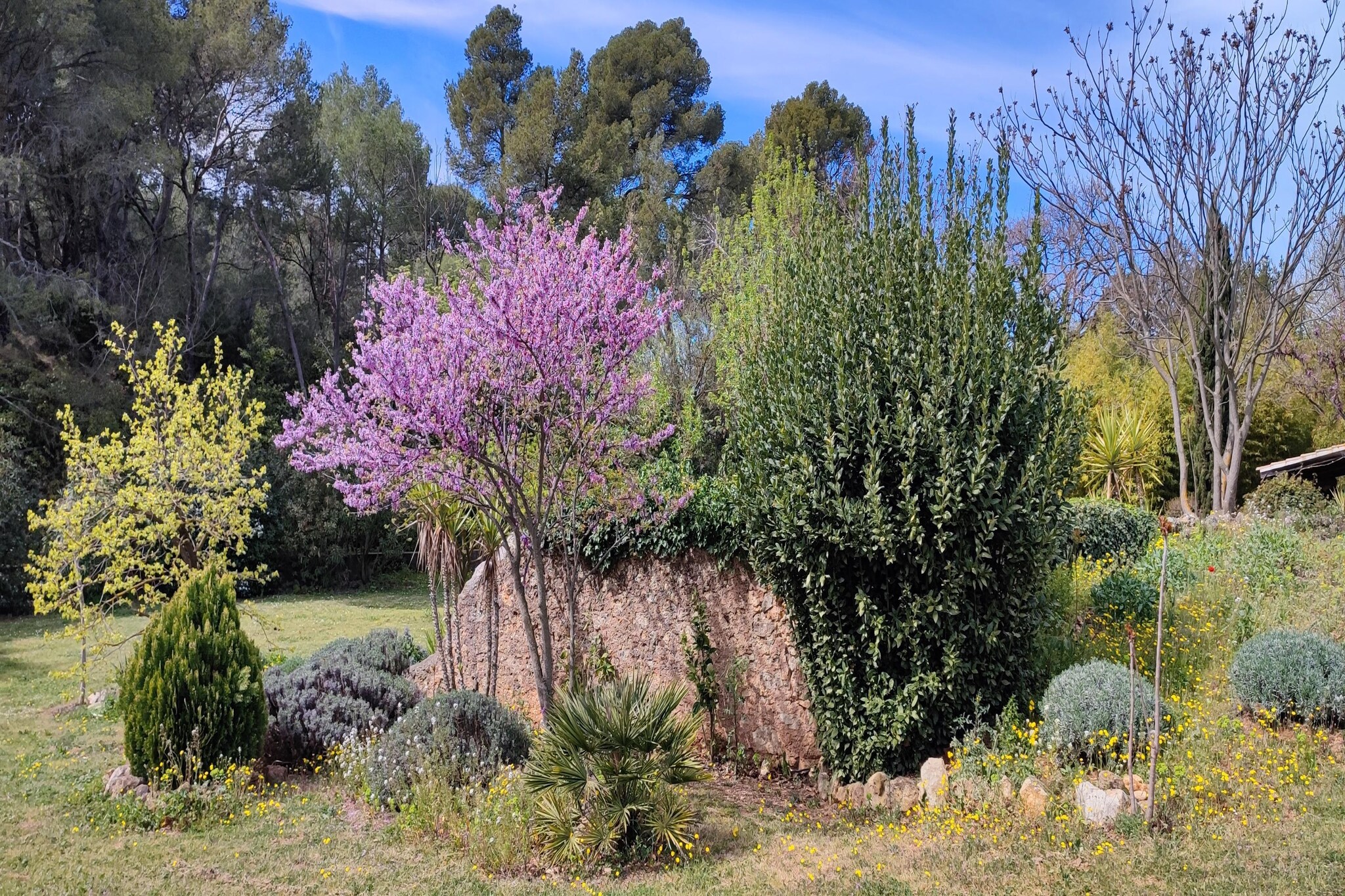 Garden Summer