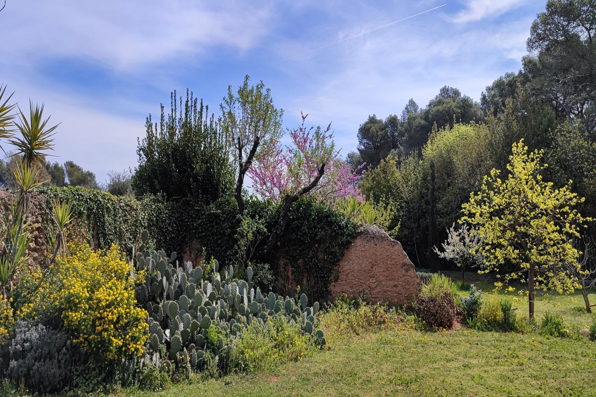 Garden Summer