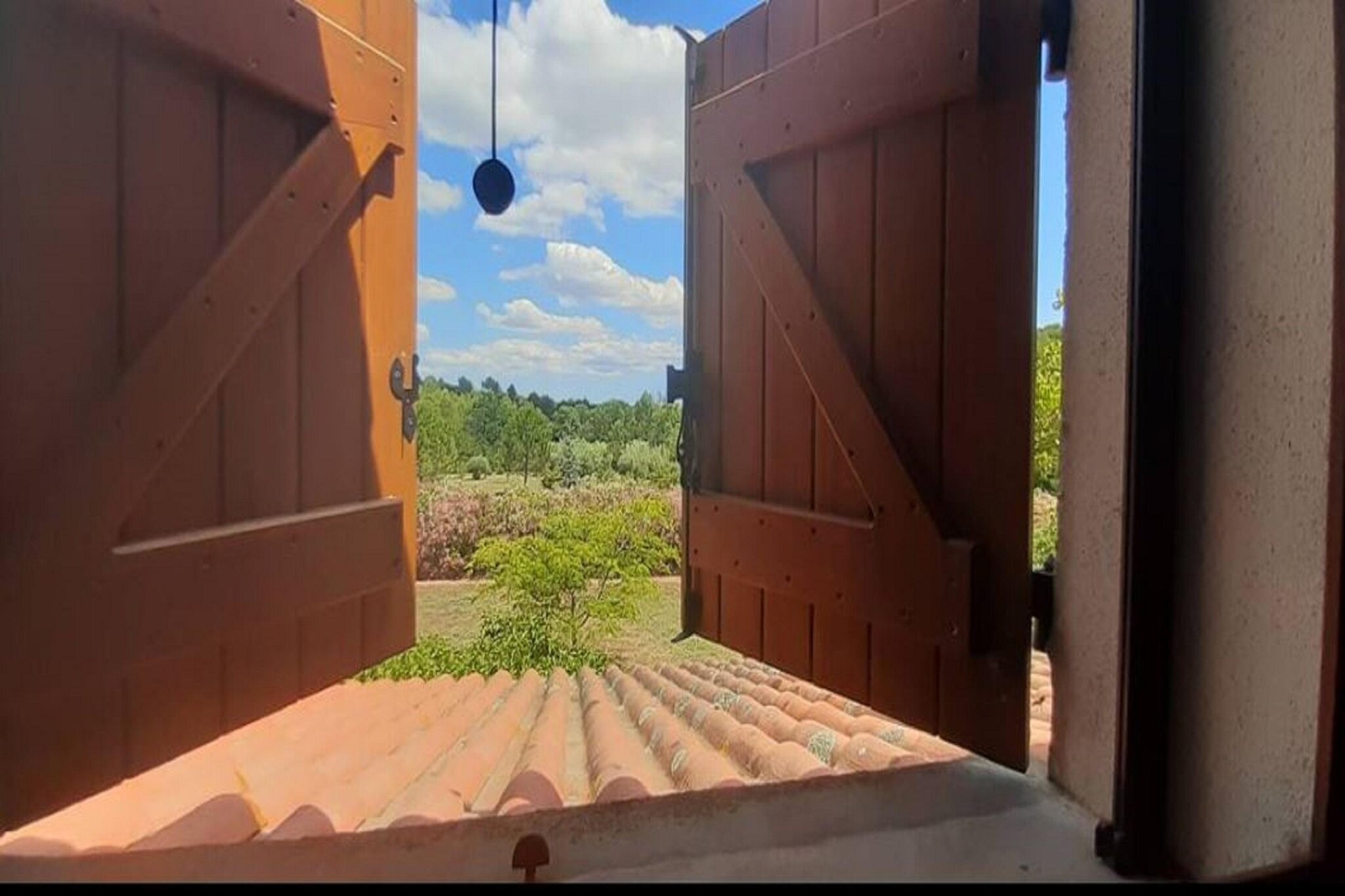 View Summer