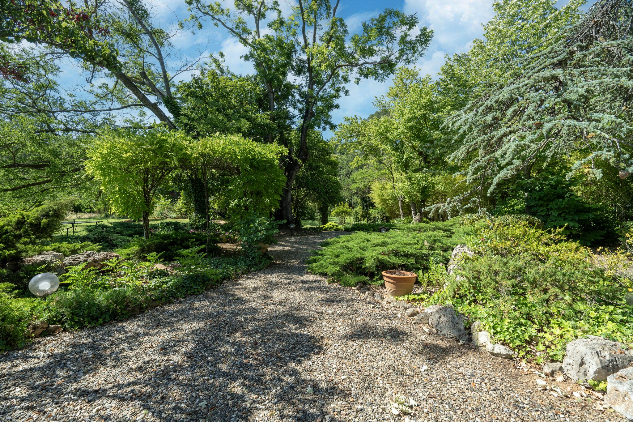 Garden Summer
