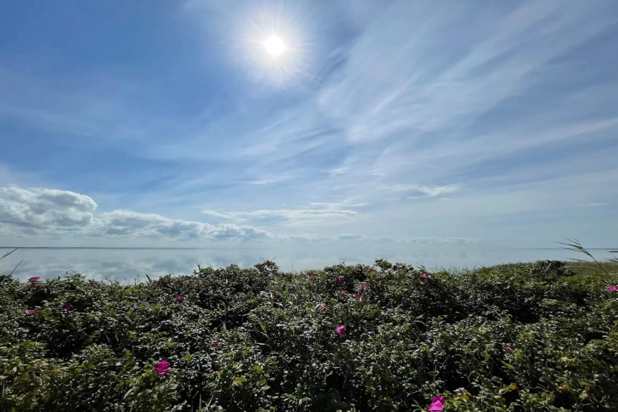 6 persoons vakantie huis in Ringkøbing-By Traum-Waterzicht