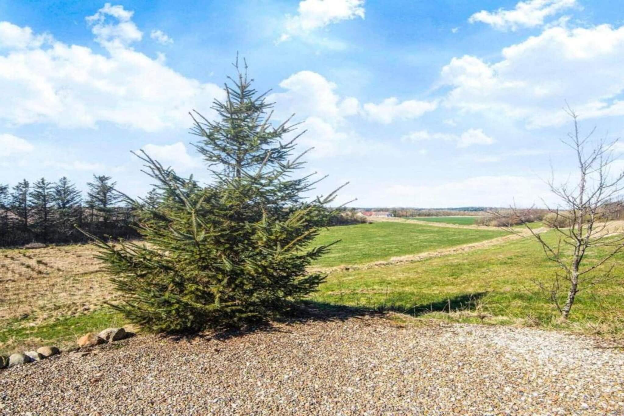 2 persoons vakantie huis in Snedsted-By Traum-Waterzicht