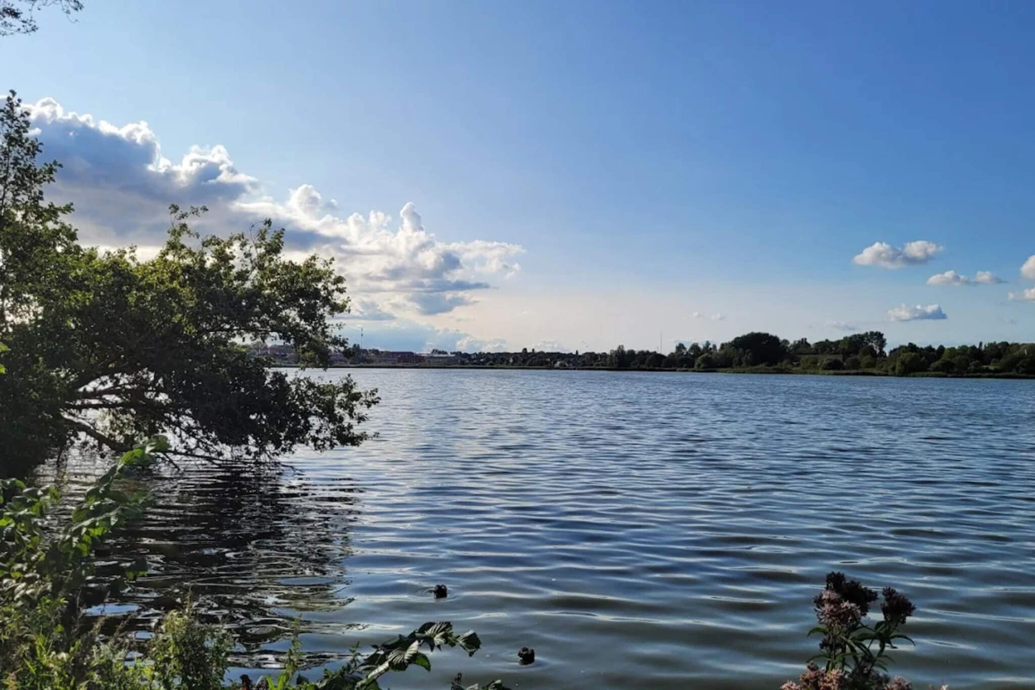 4 etoiles maison de vacances a Faaborg-By Traum-Vue sur l'eau