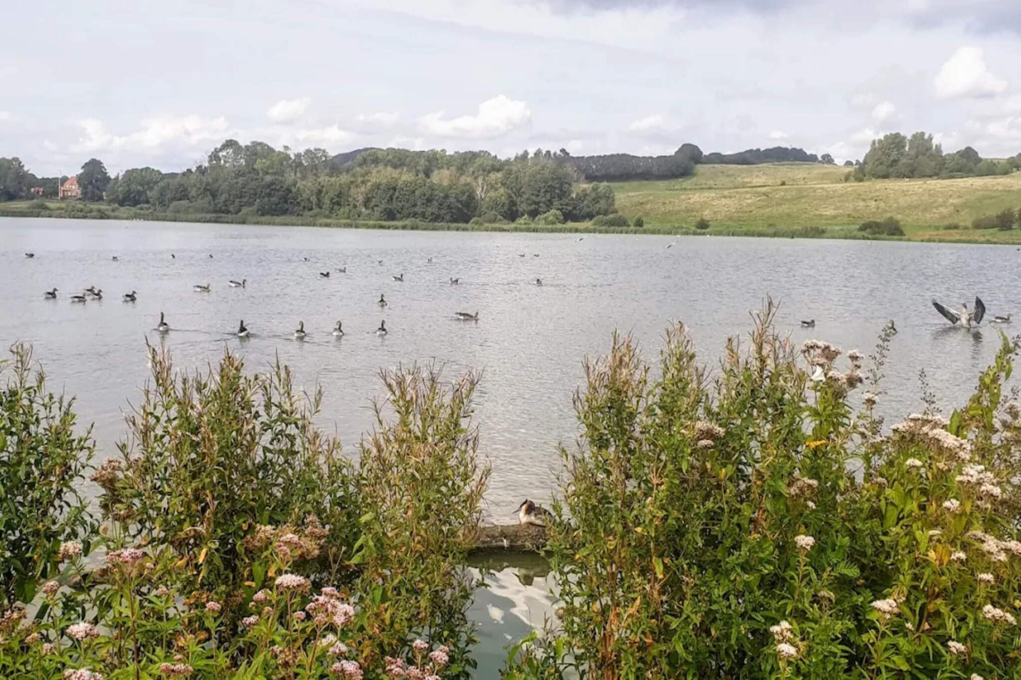 4 sterren vakantie huis in Faaborg-By Traum - Waterzicht