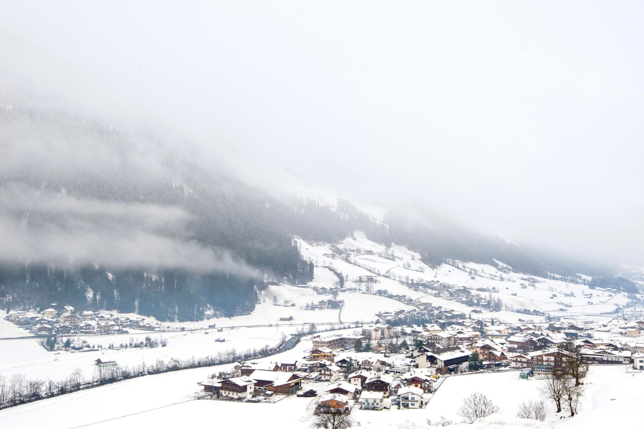 View Winter