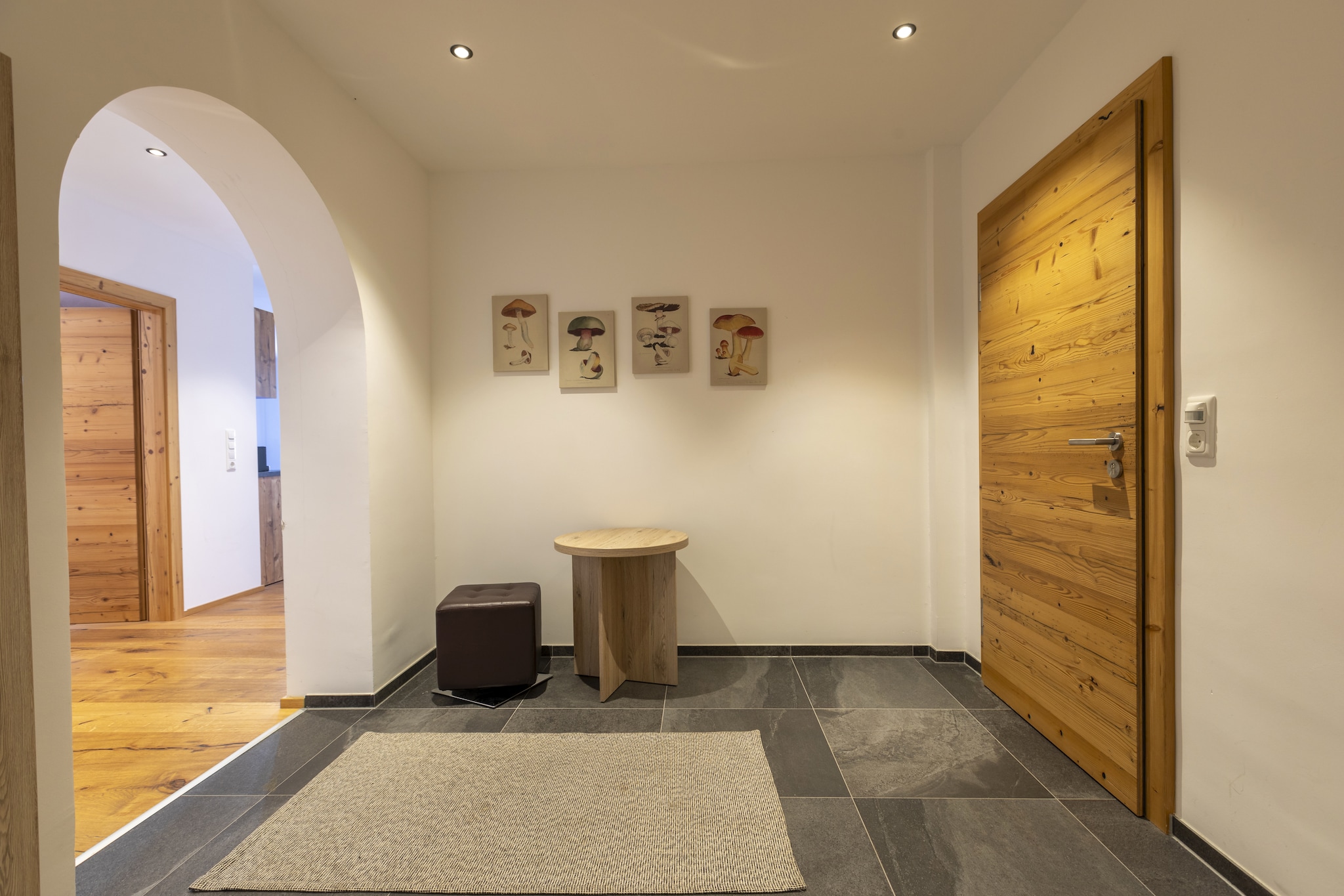 Apartment 7-Hall & reception
