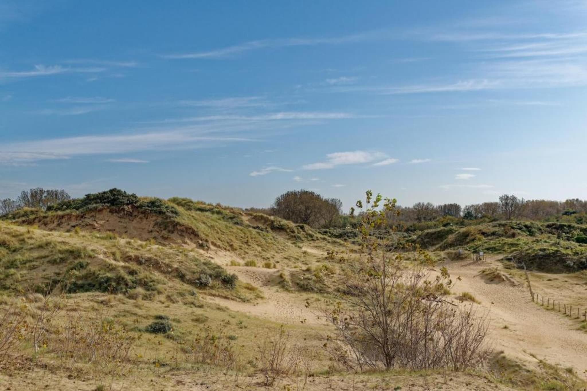 DEN OEVER V 0206GAR-Gebieden zomer 20km