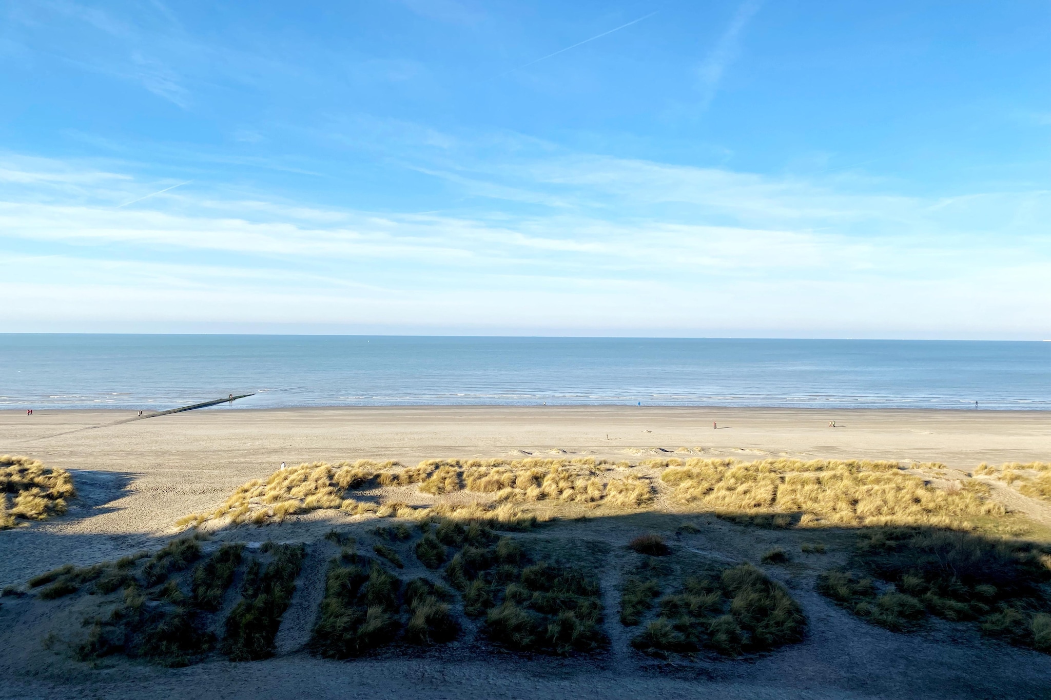 ZONNESTRAAL 503-Areas summer 1km