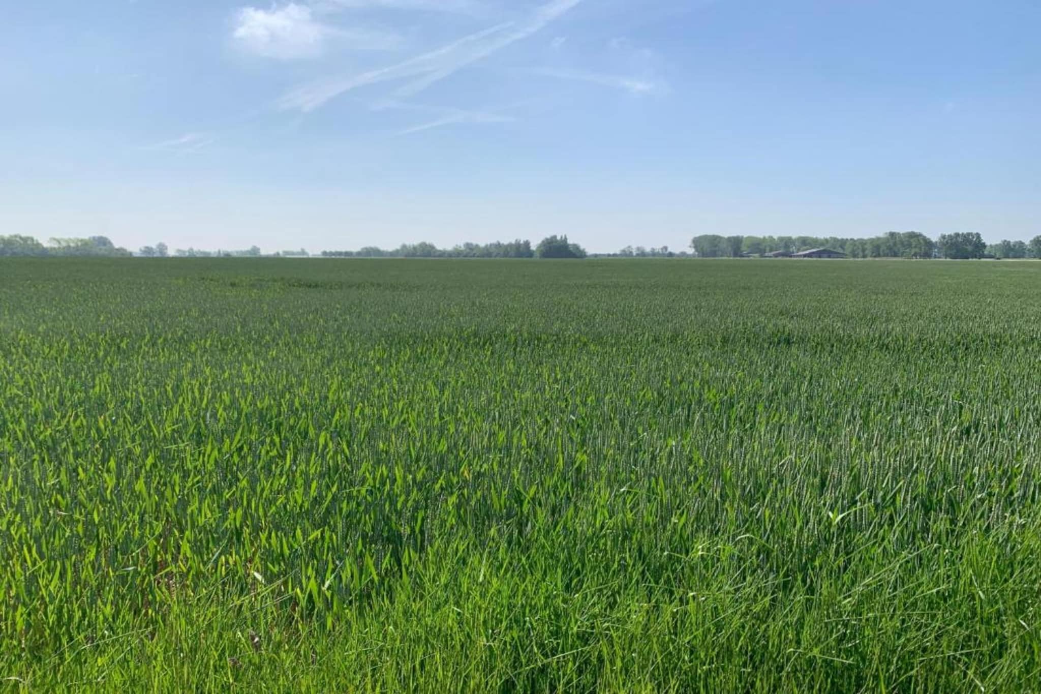 MERCATOR 0502PK - Gebieden zomer 20km