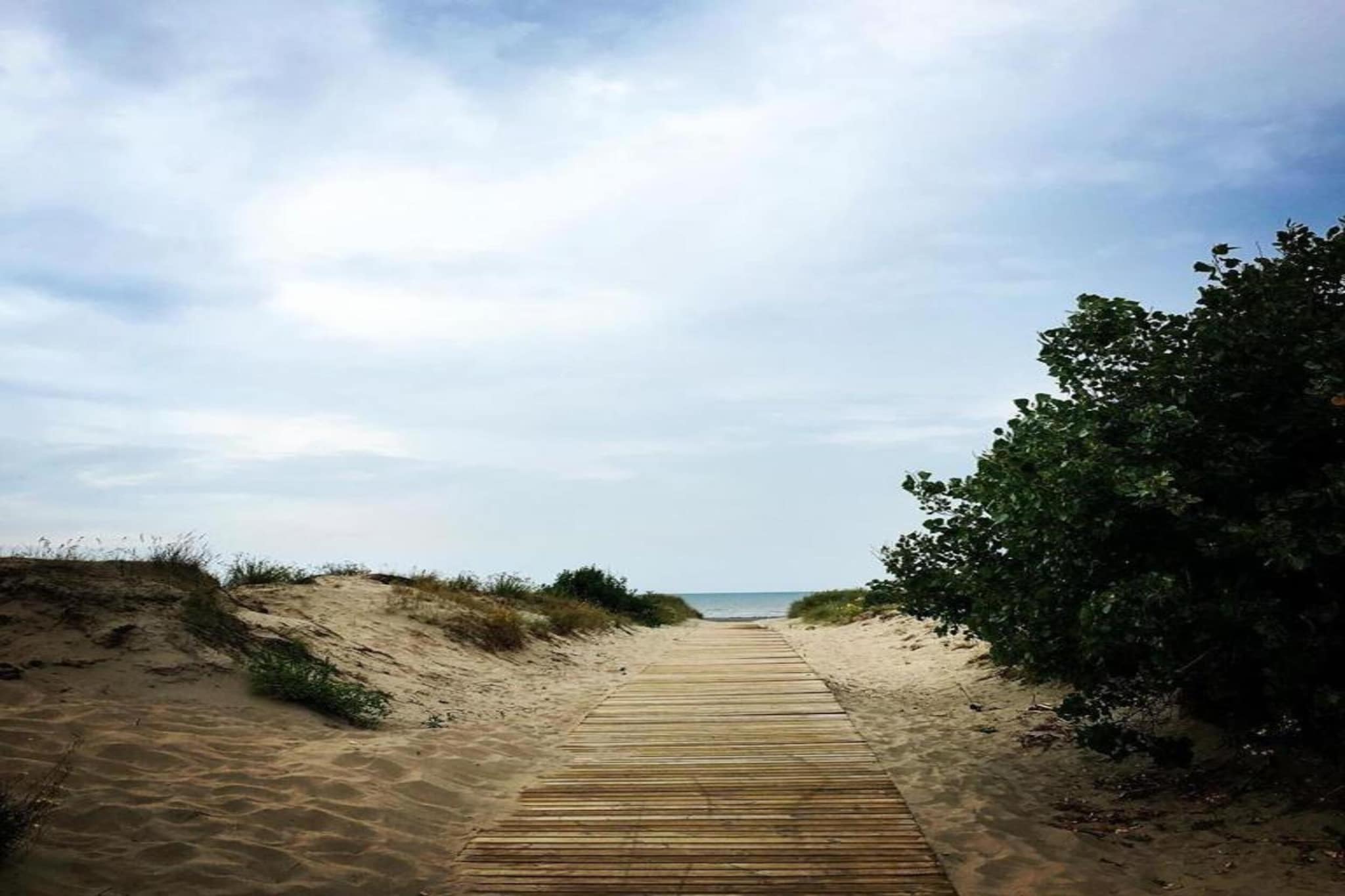 SEASIGHT A 1 / 0001-Gebieden zomer 20km