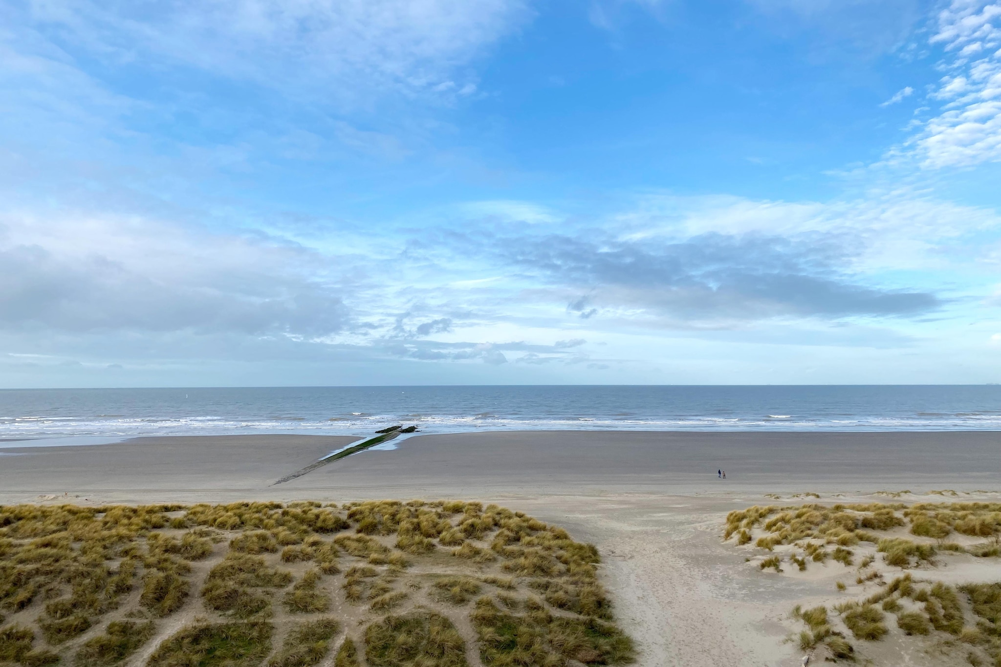 SEAWIND 503-Gebieden zomer 5km