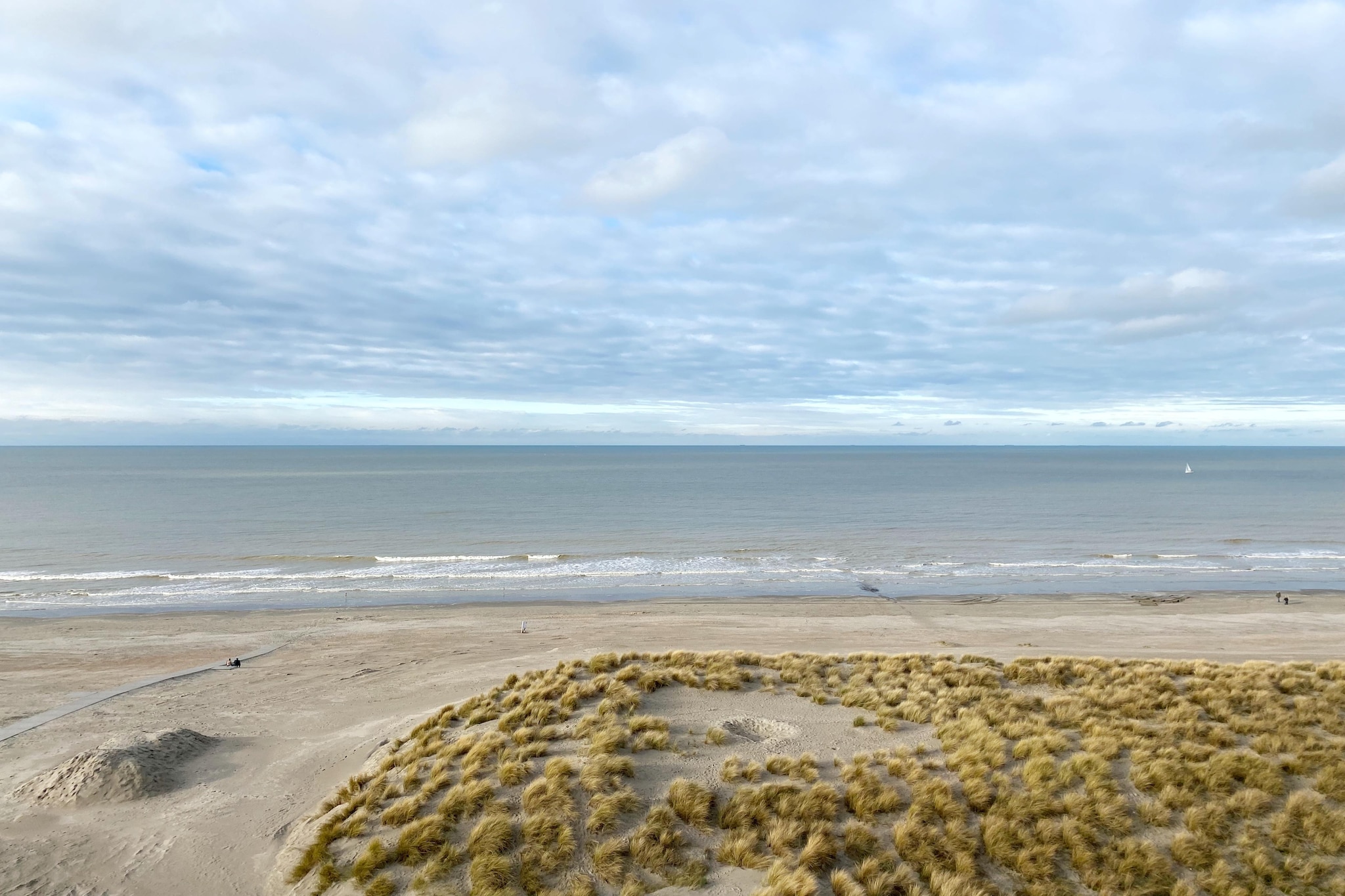 SUNFLOWER 0705GAR-Gebieden zomer 1km