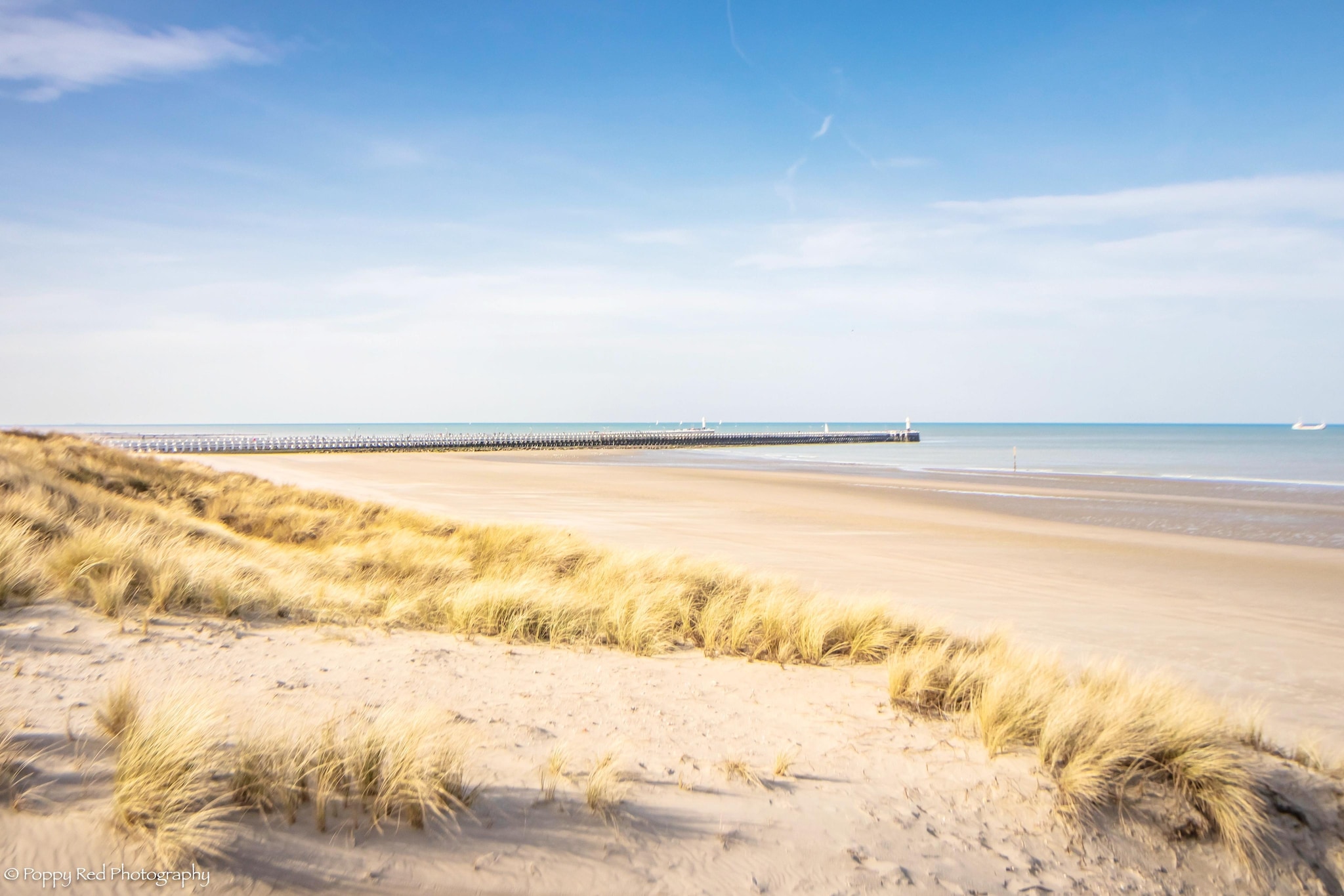 SUNFLOWER 0705GAR-Gebieden zomer 5km
