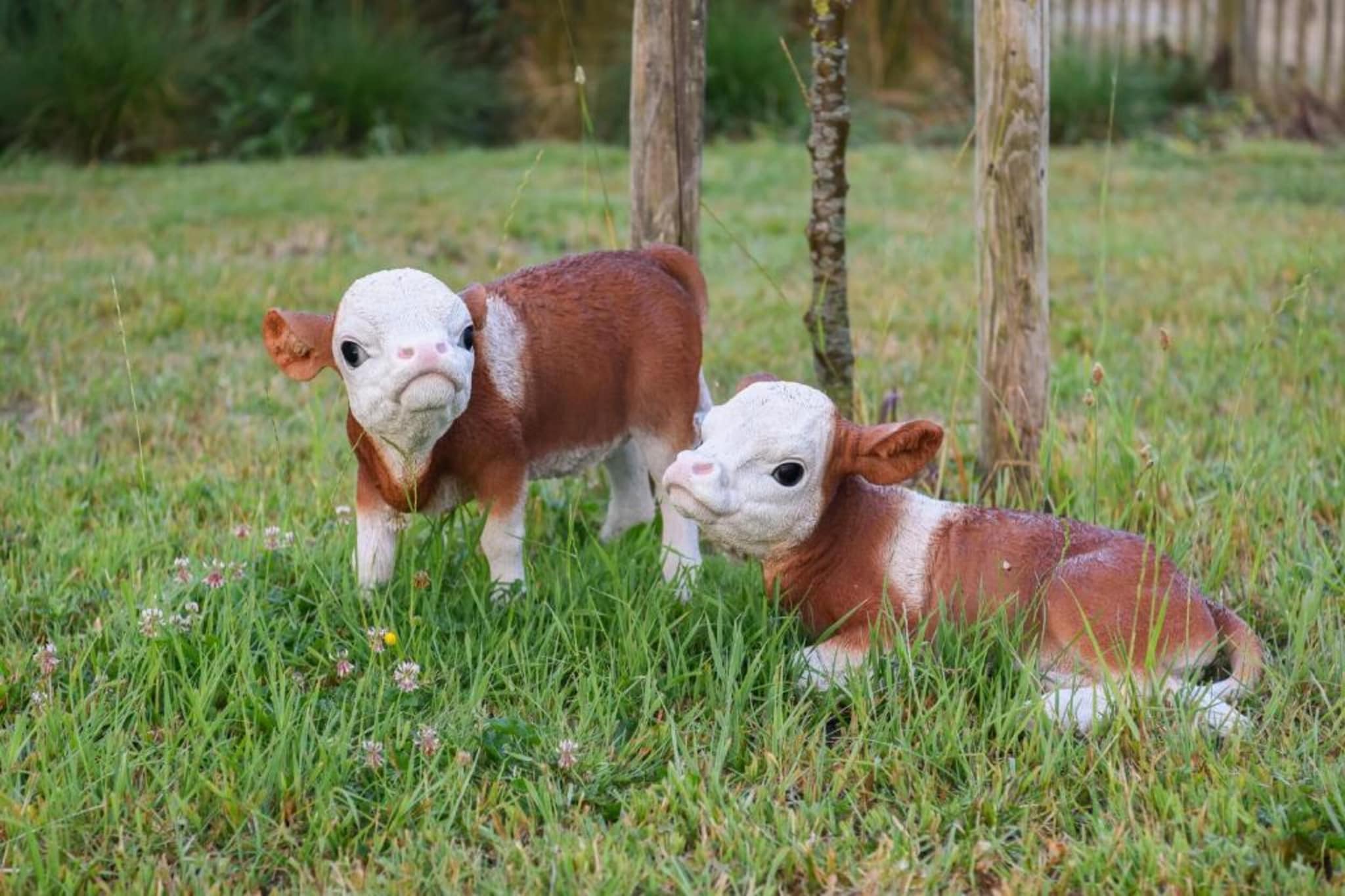 SUNFLOWER 0705GAR-Gebieden zomer 20km