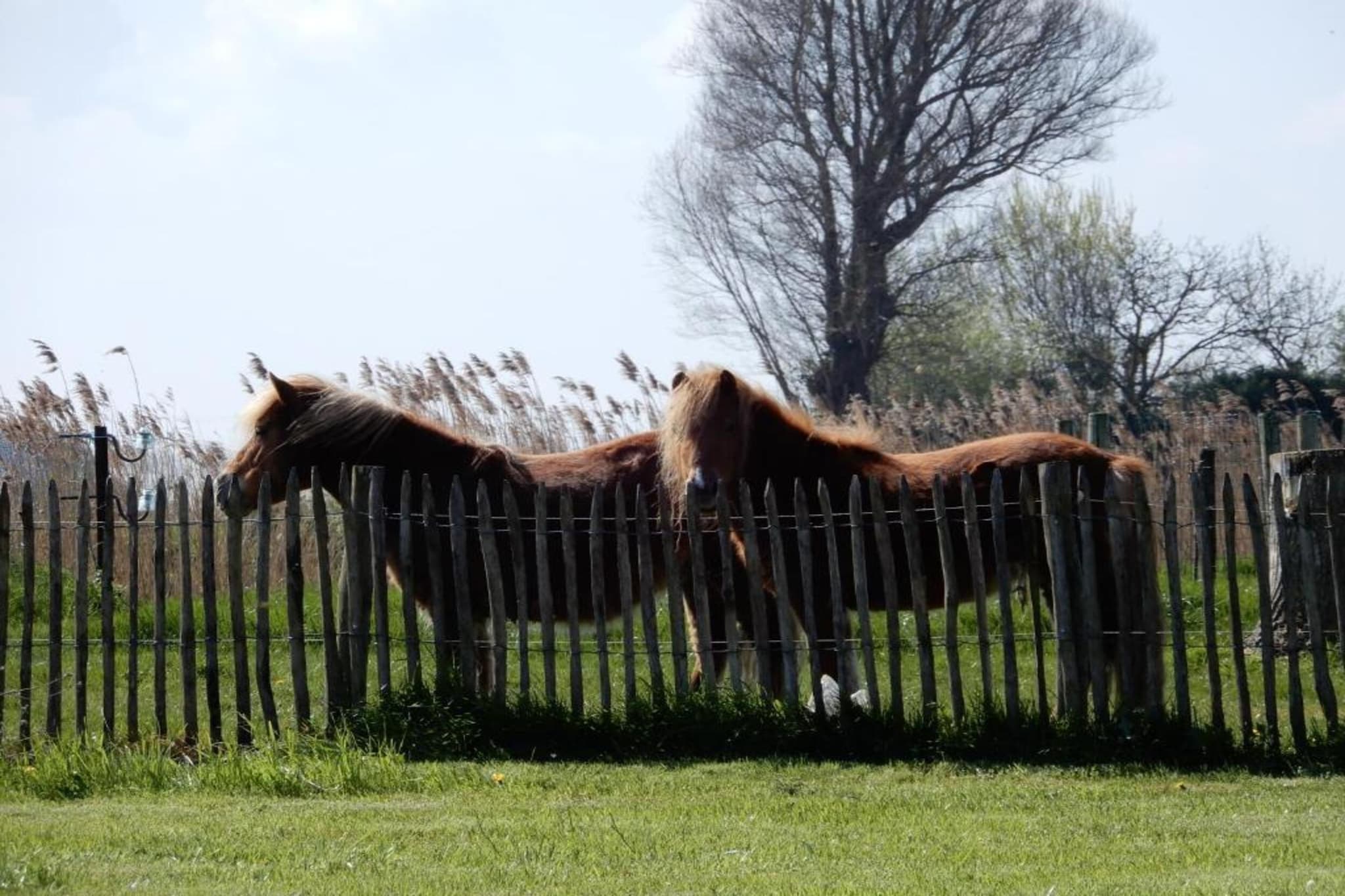SUNFLOWER 0705GAR-Gebieden zomer 20km