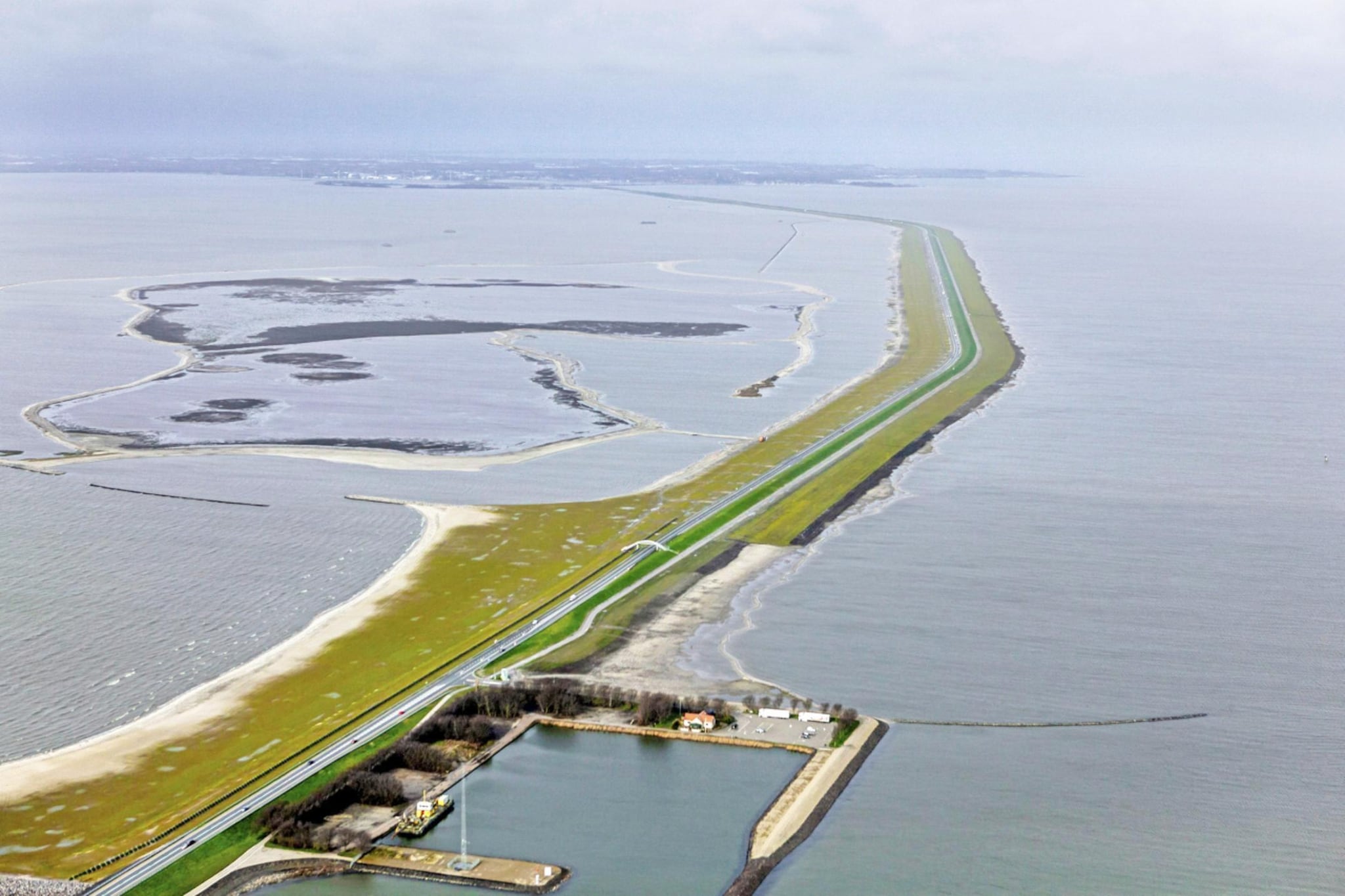 SEASIGHT A 0004-Areas summer 5km